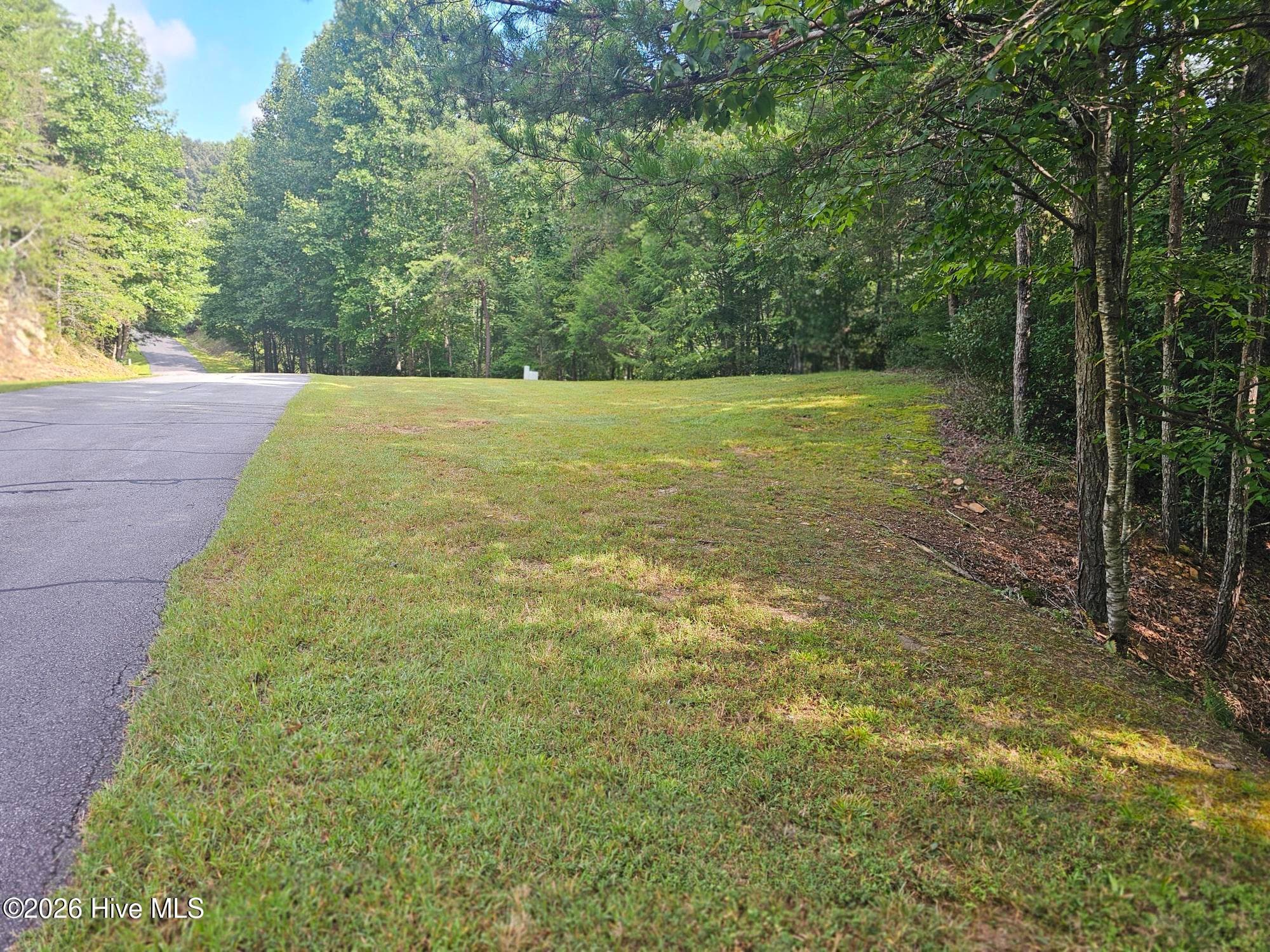 Residential Lot at 0 Wildcat Drive, Murphy, NC 28906, photo 2 of 11