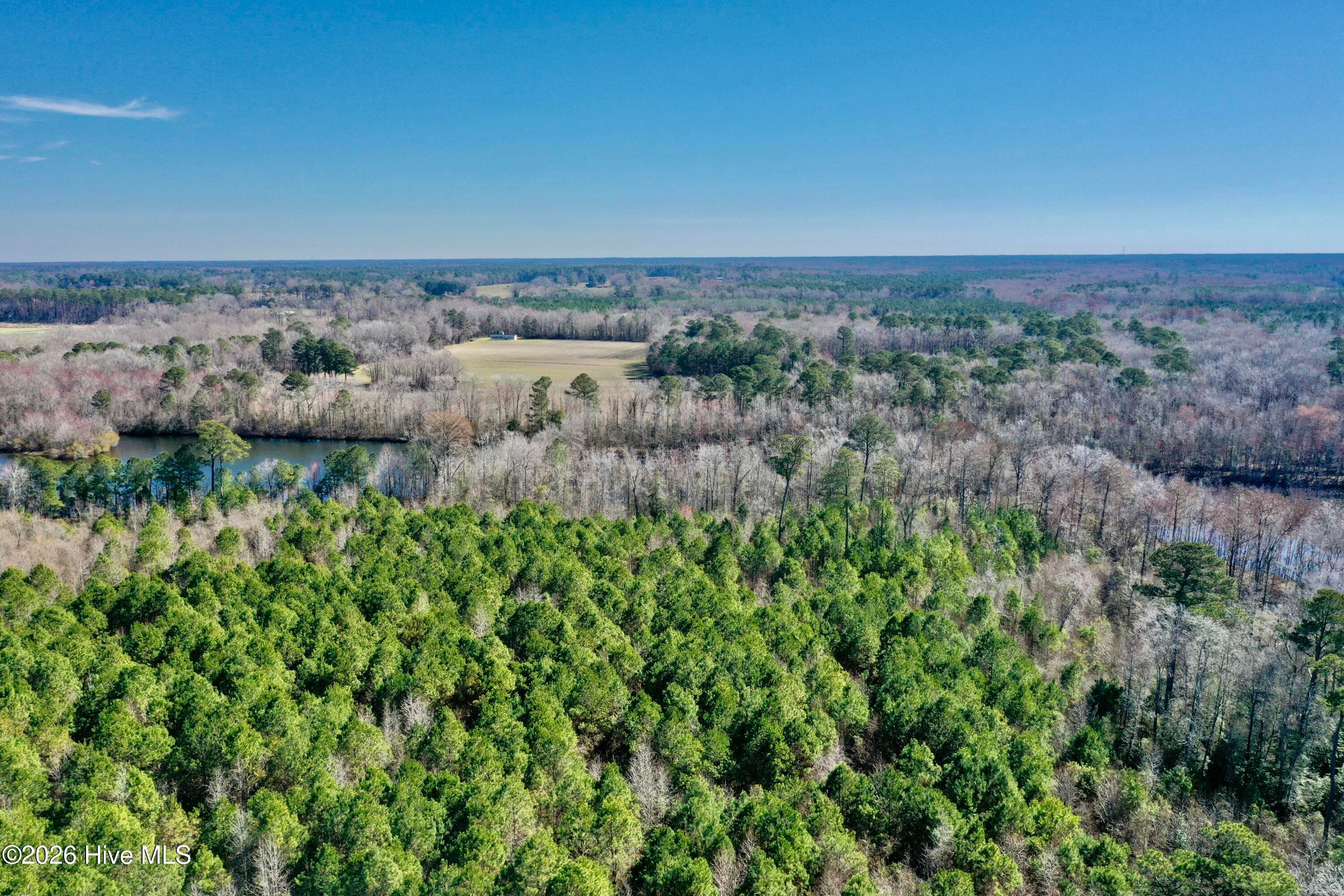 Tract 3 Haynes Len Highway, Cerro Gordo, NC 28430