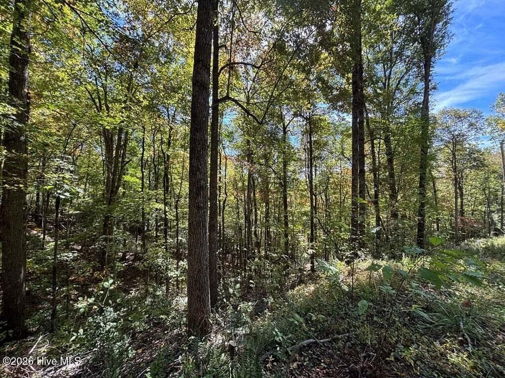 Residential Lot at 2 Holly Ridge Drive, Topton, NC 28781, photo 2 of 3
