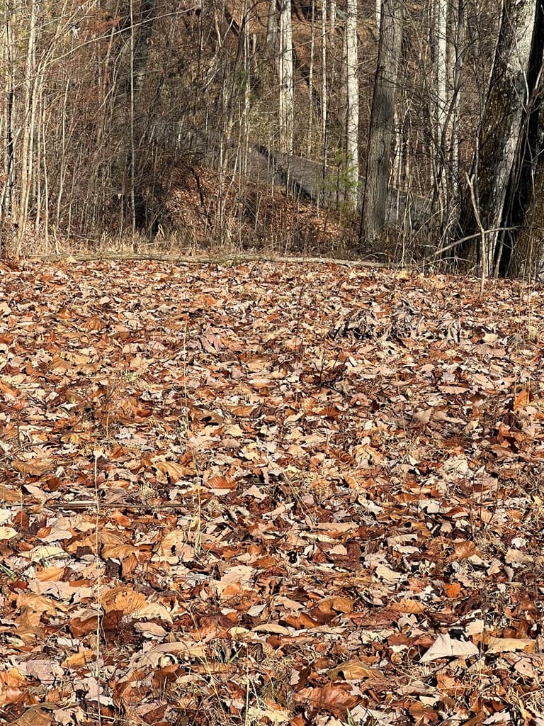 Residential Lot at Lot 56c 56C Indian Trail, Hayesville, NC 28904, photo 6 of 9