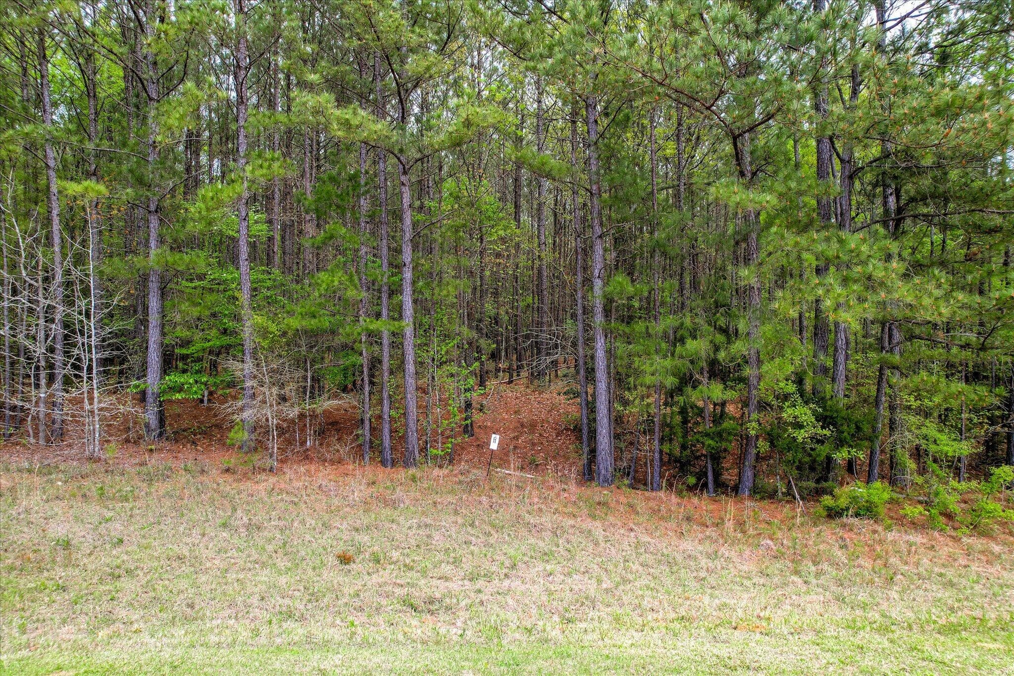 1066 Clinton-williams Road, Lincolnton, GA 30817