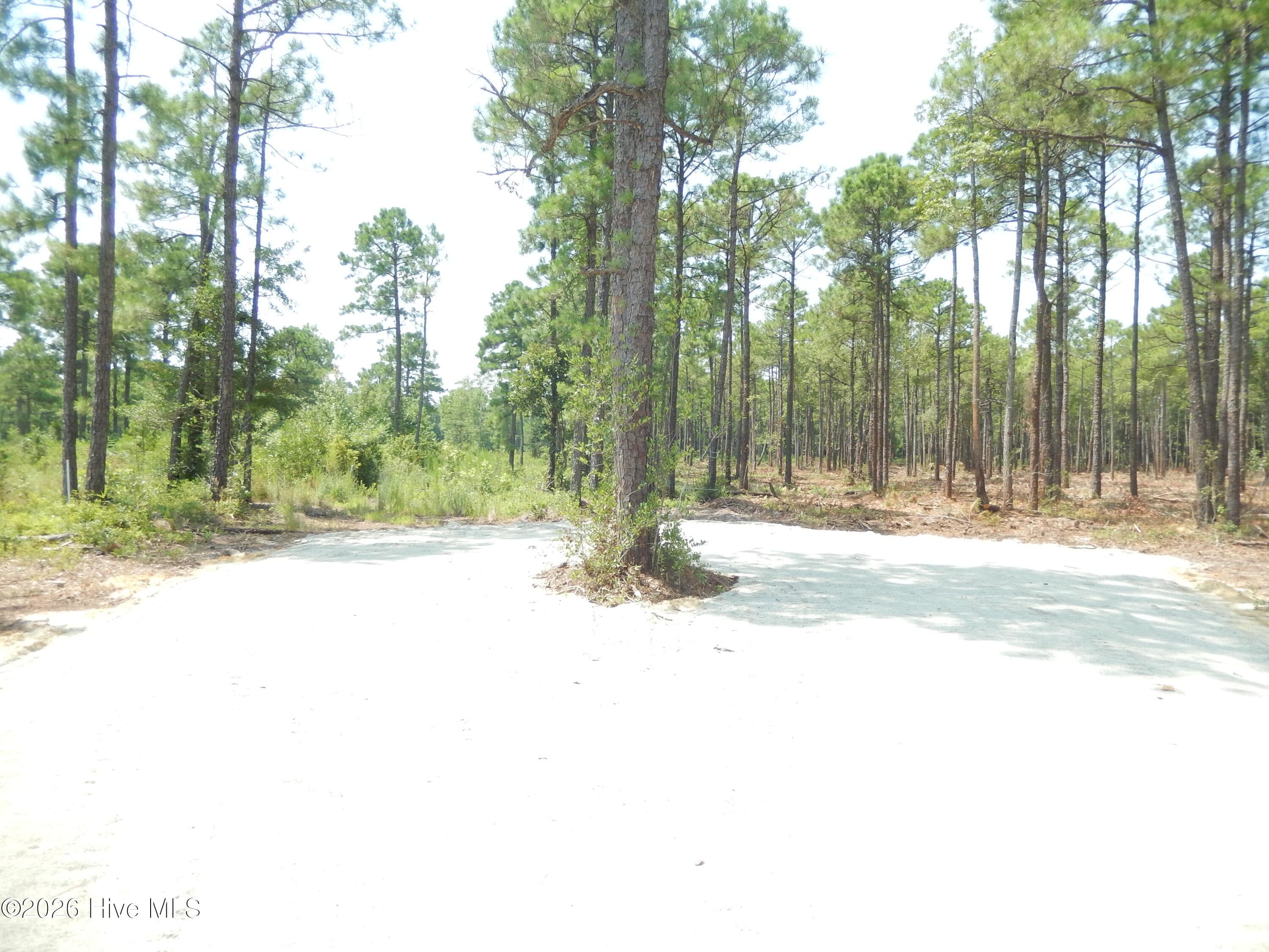 Undeveloped at 372 Greenview Ranches, Wilmington, NC 28411, photo 13 of 61