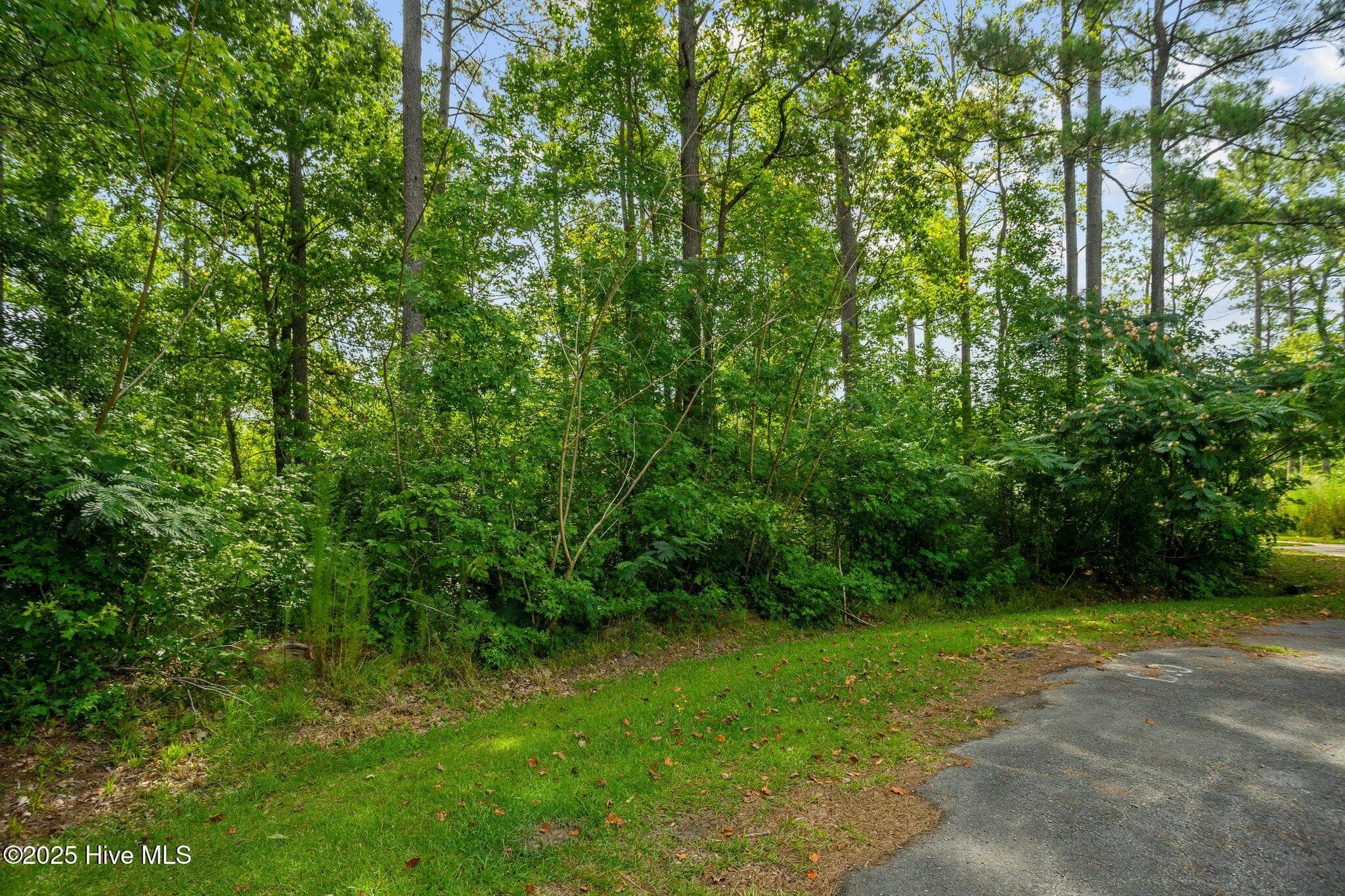 Undeveloped at 178 114 Marsh Run, Oriental, NC 28571, photo 20 of 28
