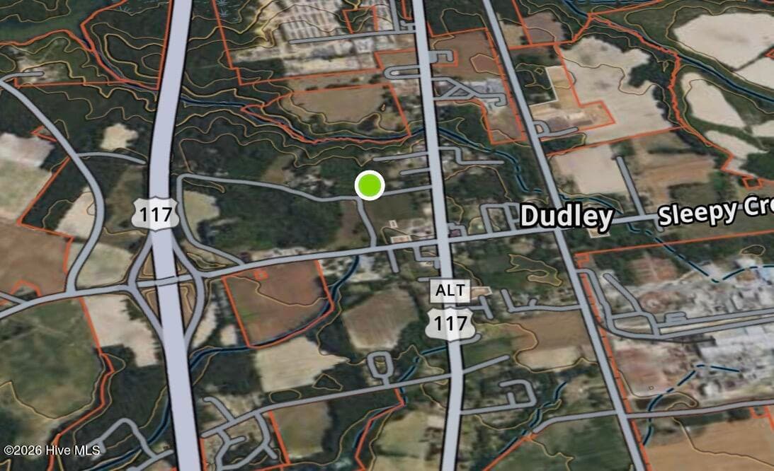 Mixed Use at 0.89ac Oberry Rear Road, Dudley, NC 28333, photo 5 of 5