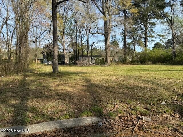 Mixed Use at Tbd Hill Street, Ahoskie, NC 27910, photo 2 of 3