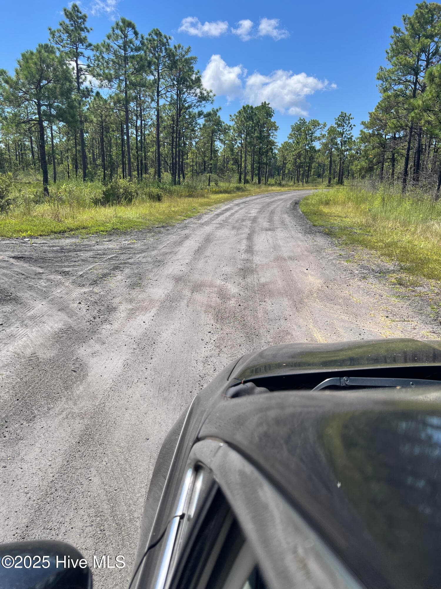 Residential Lot at 80 Bohemia Road, Boiling Spring Lakes, NC 28461, photo 8 of 10