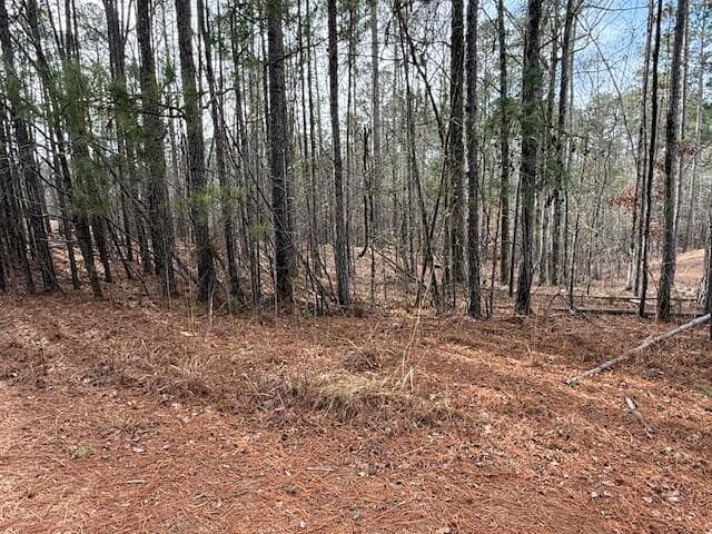 Residential Lot at 14-33 Kristen Lane, McCormick, SC 29835, photo 3 of 5