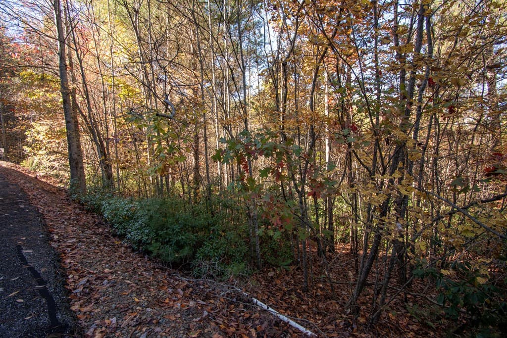 Wooded at Lt 66 66 Choctaw Ridge Trail, Murphy, NC 28906, photo 10 of 10