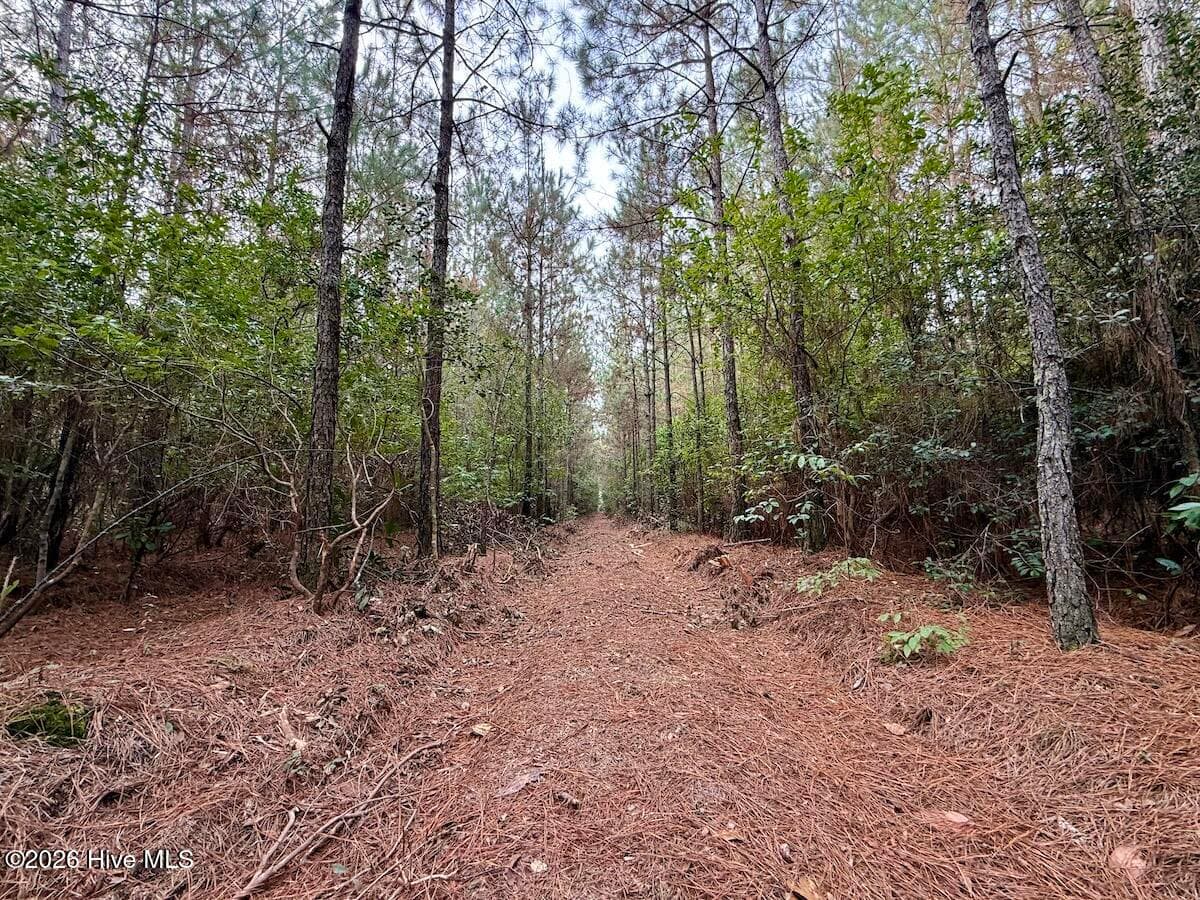 Recreation at 00 Hwy 258 S, Deep Run, NC 28525, Deep Run, photo 10 of 39