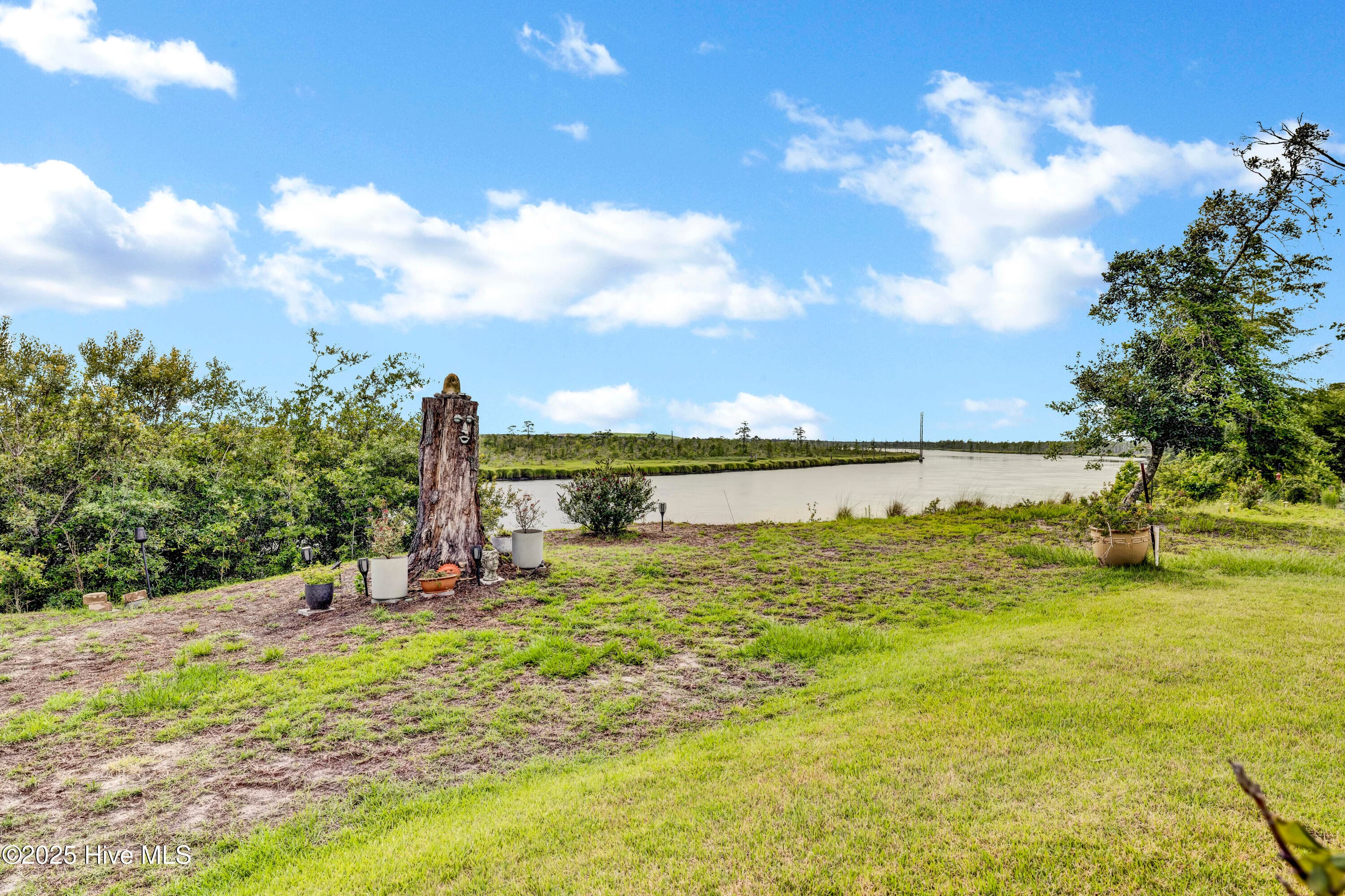 Backyard with river view - 3623 White Cliffs Drive, Castle Hayne, NC 28429