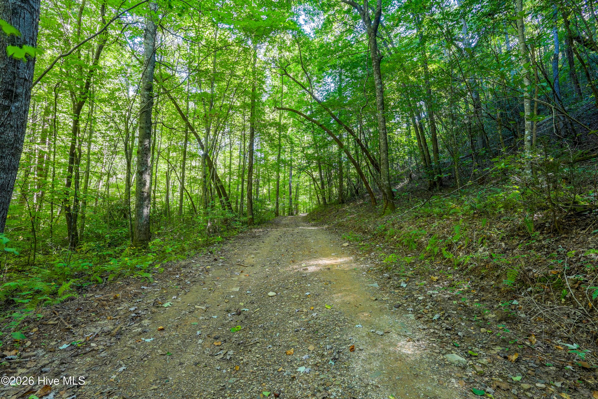 Wooded at 90 Ac Tree House Road, Andrews, NC 28901, photo 4 of 19