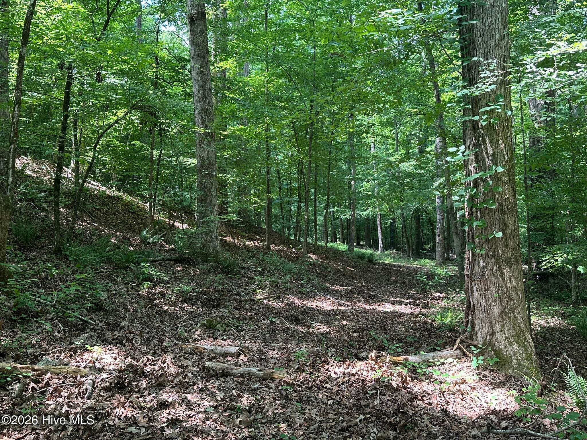 Residential Lot at Lot 17 Lakeshore Estates Drive, Lincolnton, GA 30817, photo 8 of 22