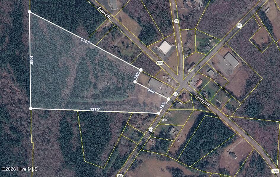 000 N Highway 561, Hollister, NC 27844