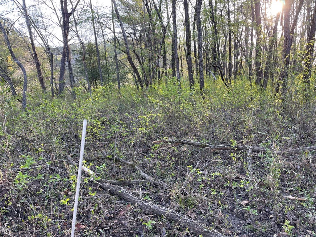 Residential Lot at 133 River Farm Drive, Murphy, NC 28906, photo 19 of 19