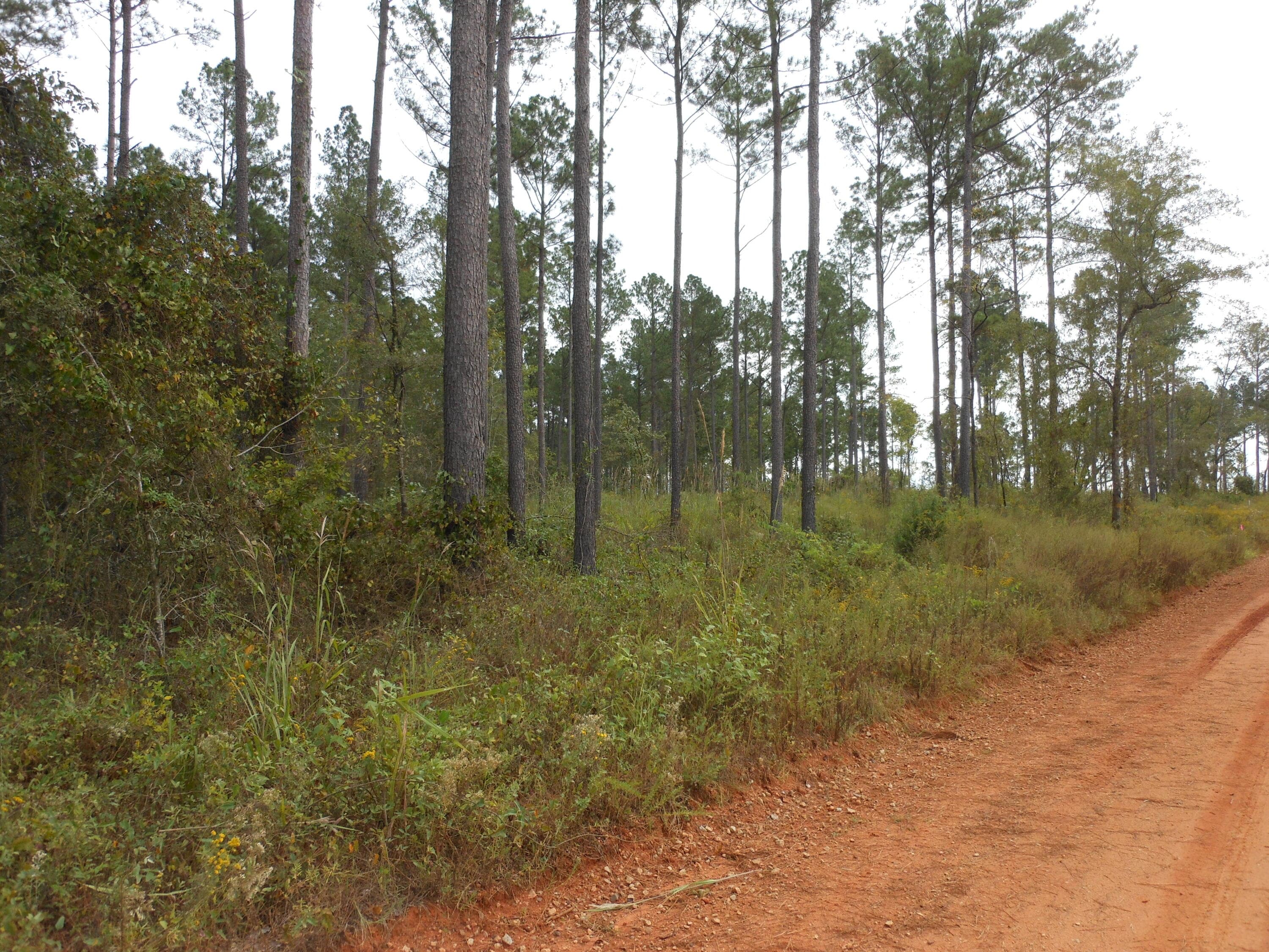 Undeveloped at 0 Hannah Lane, Keysville, GA 30816, photo 2 of 3