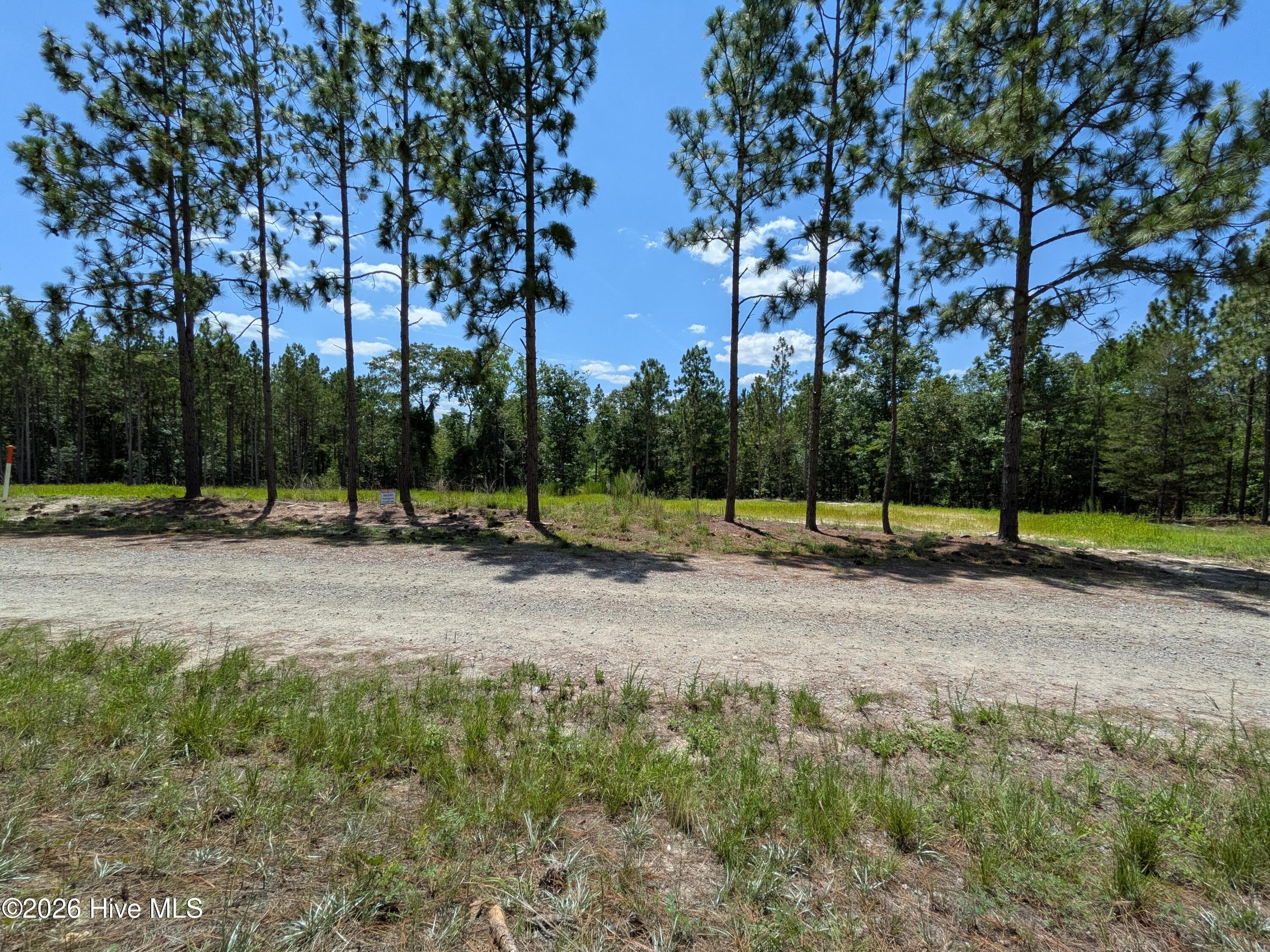 Residential Lot at 270 1-R Charles Road, Eagle Springs, NC 27242, photo 6 of 13