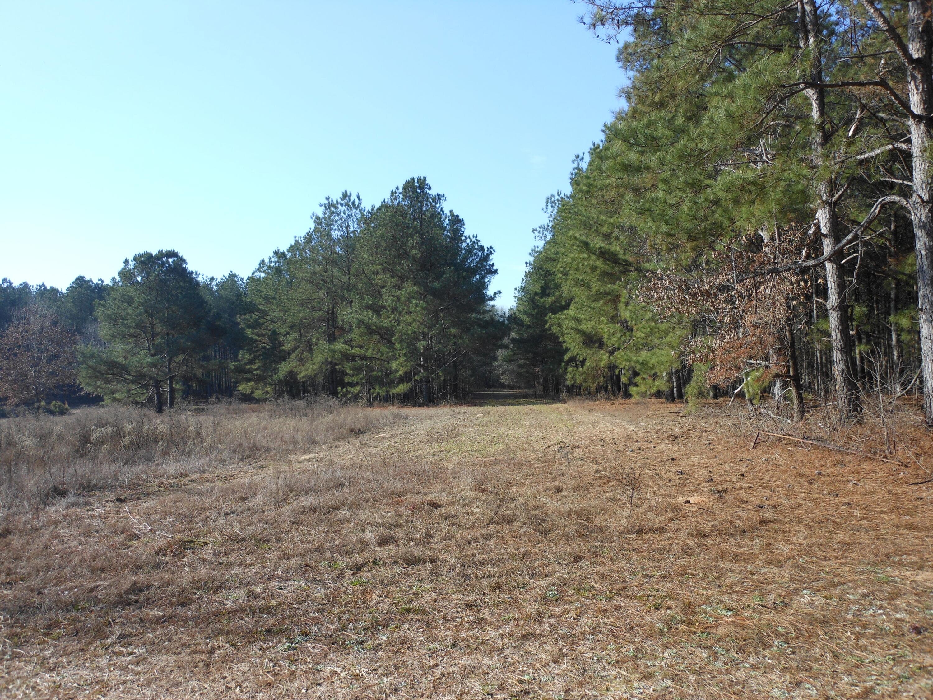 Undeveloped at 0 Ponderosa Road, Waynesboro, GA 30830, photo 37 of 45