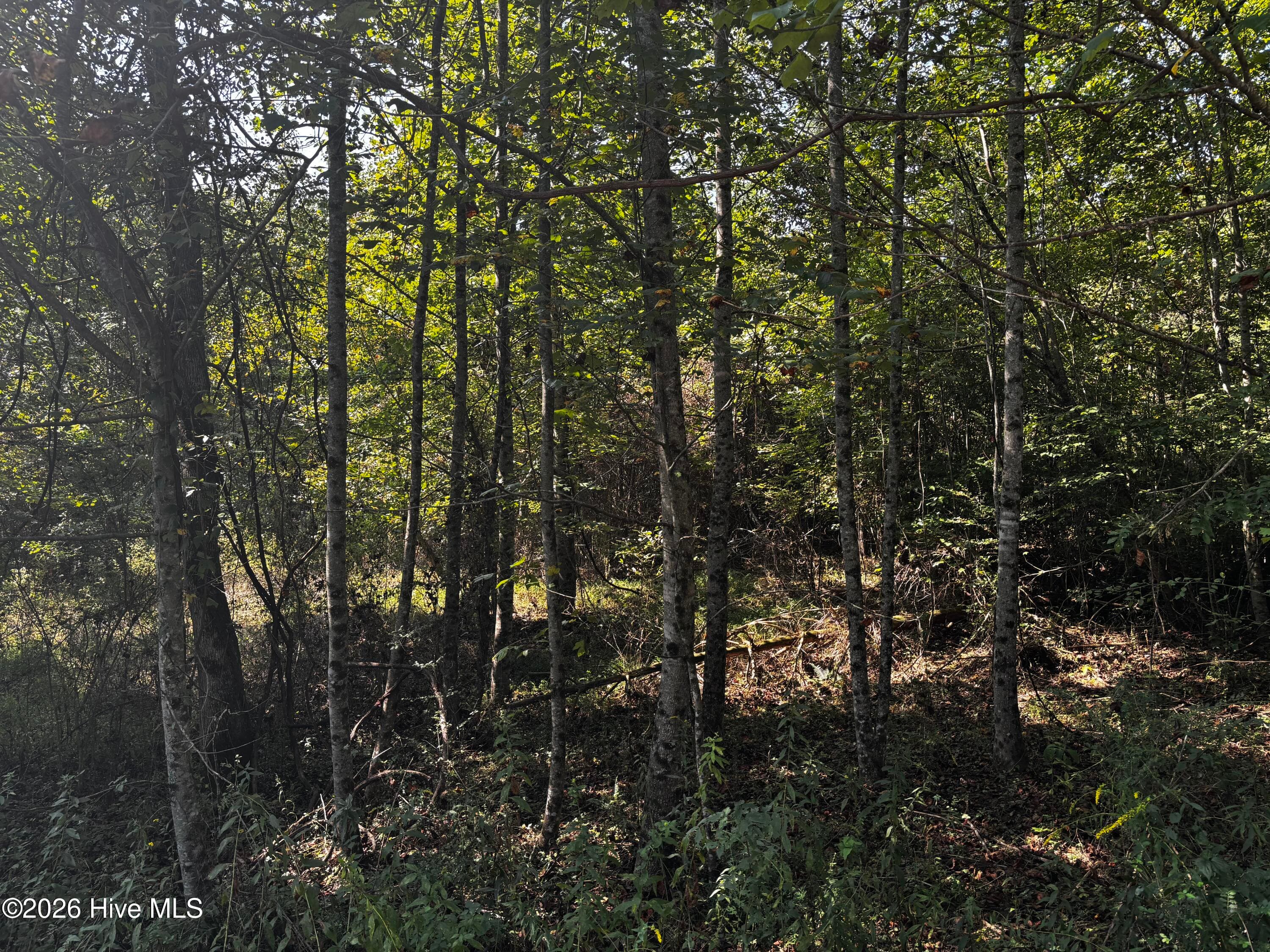 Residential Lot at 00 35 Highland Ridge Trail, Murphy, NC 28906, photo 5 of 8