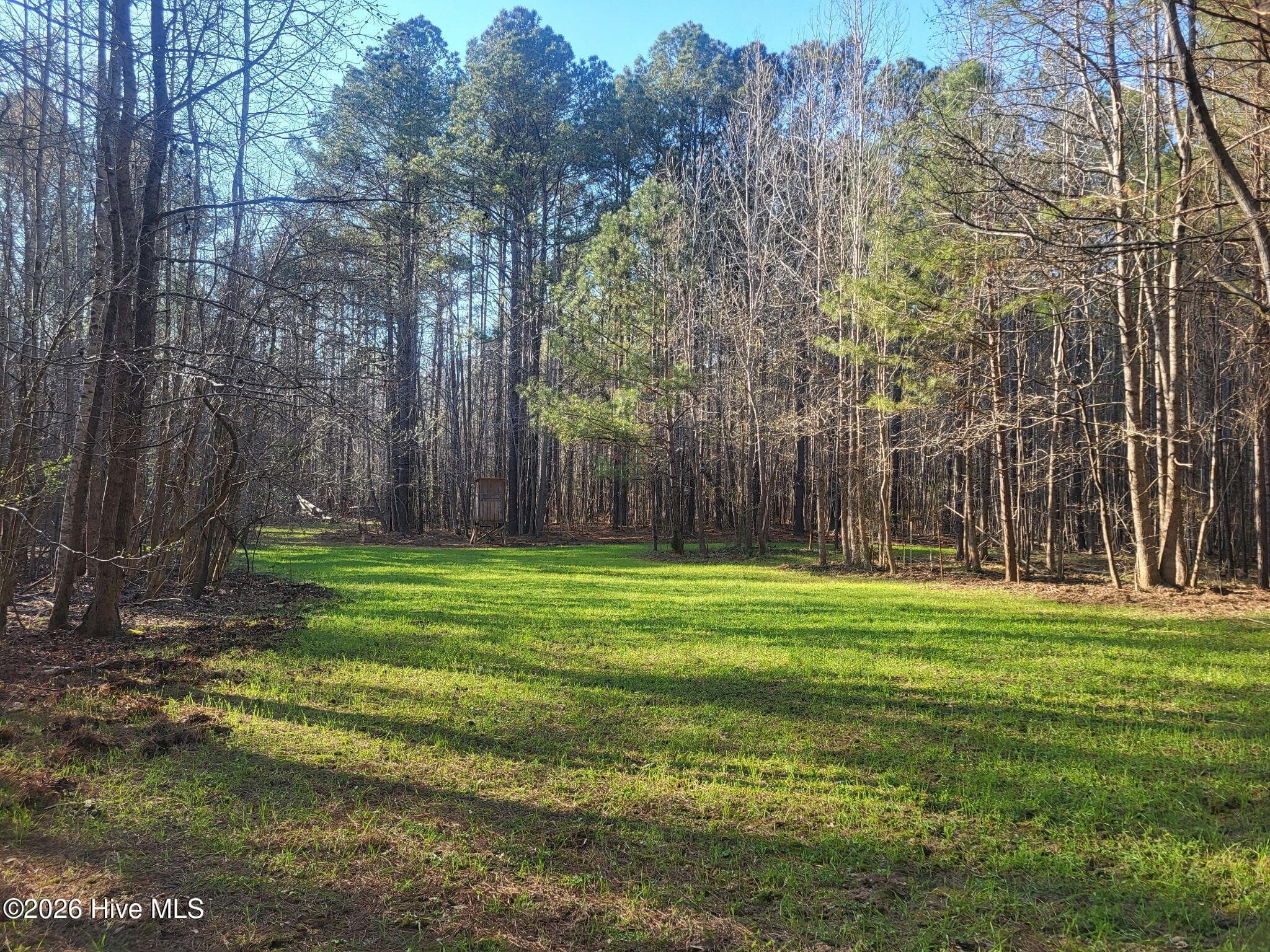 Mixed Use at 000 Court Ground Road, Washington, GA 30673, photo 42 of 52
