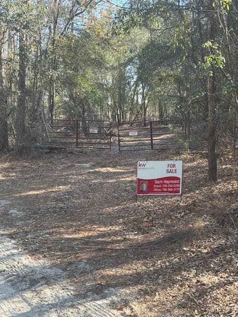 Agriculture at 0 Starfish Lane, Lyons, GA 30436, photo 2 of 8