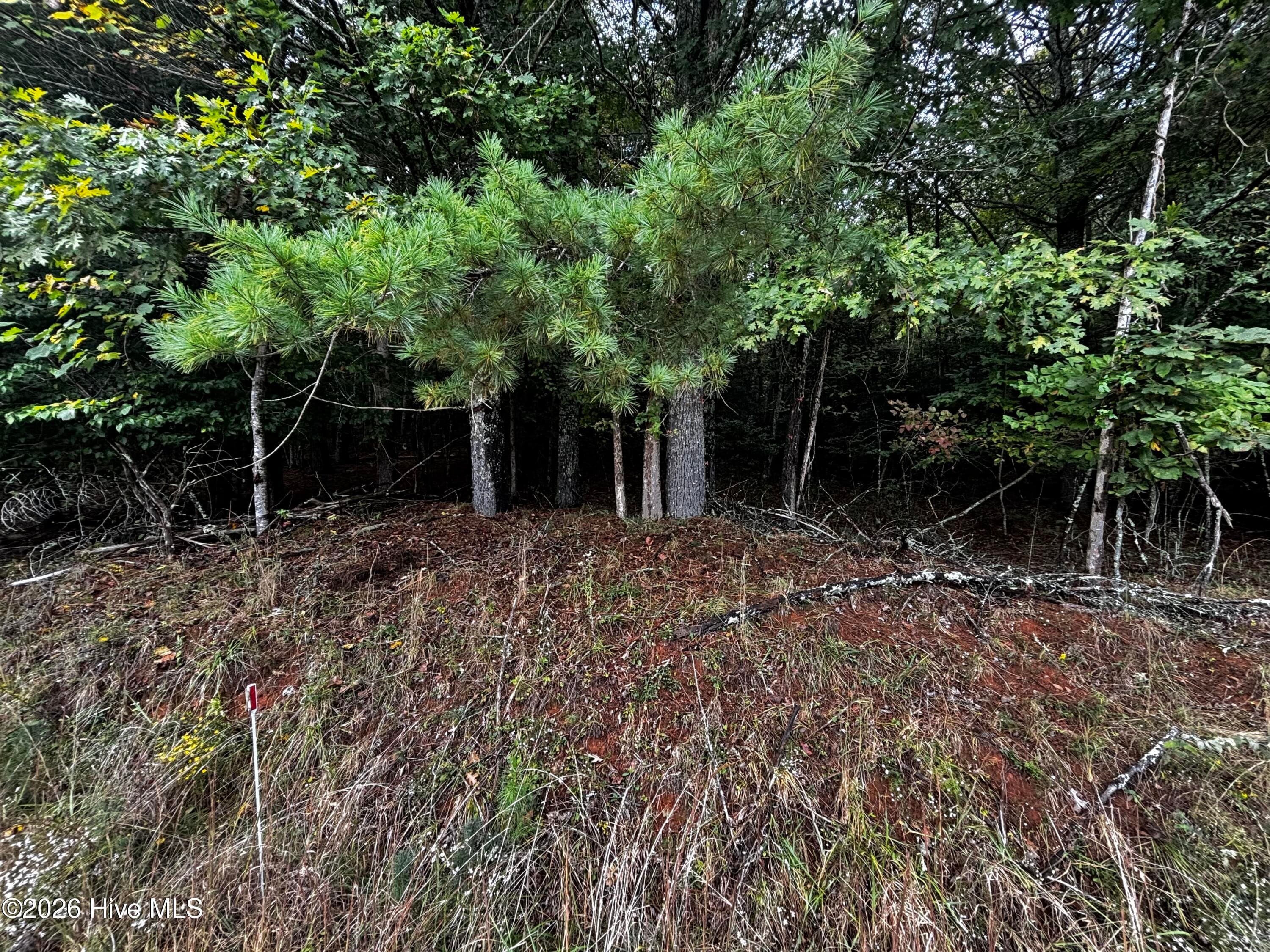 Wooded at Lot 6 6 Joyce Road, Murphy, NC 28906, photo 3 of 5