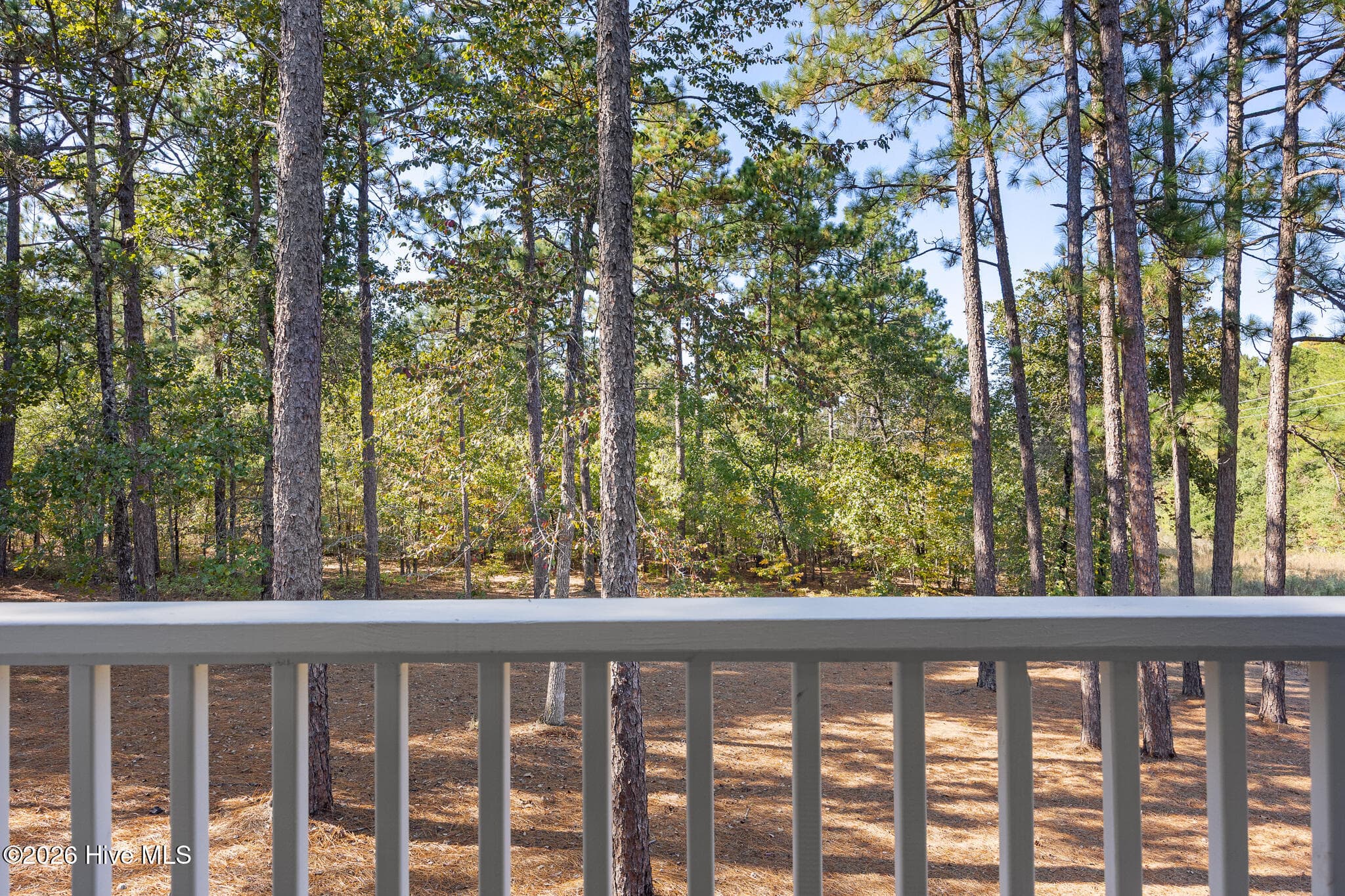 Peaceful and Prive Rear Yard - 26 Kilbride Drive, Pinehurst, NC 28374
