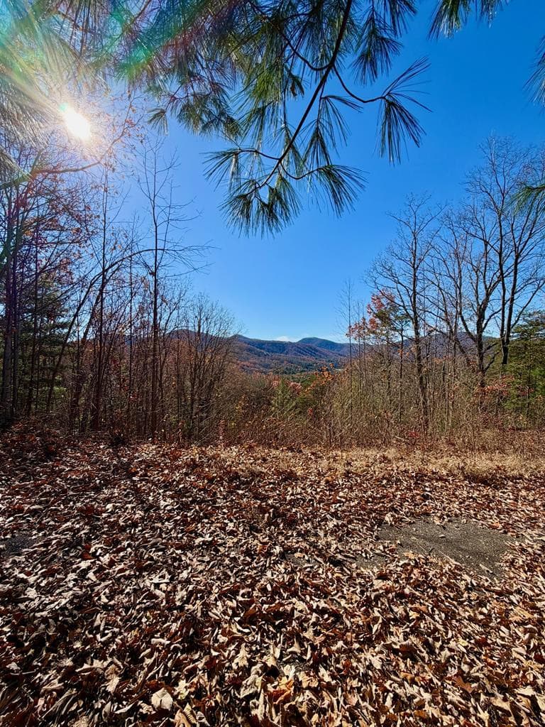 Residential Lot at Lot 14 14 View Ridge Trail, Murphy, NC 28906, photo 5 of 9