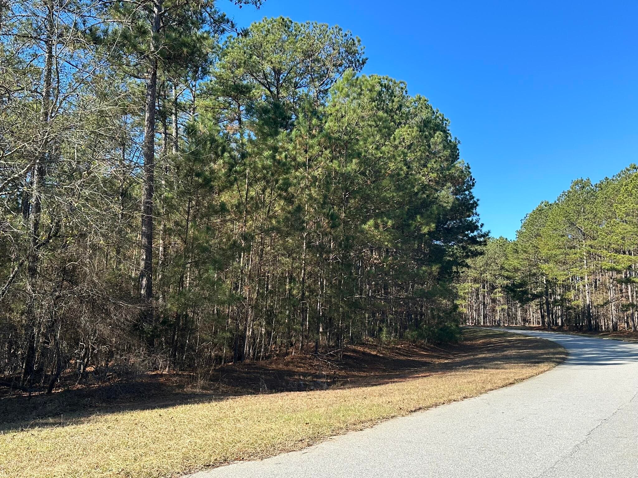 Residential Lot at 1252 294 Rogers Road, Tignall, GA 30668, photo 3 of 29