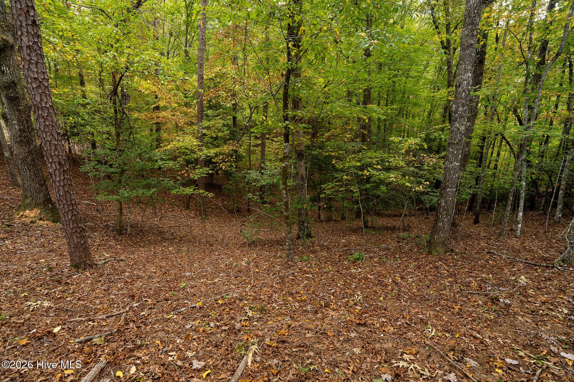 Wooded at Lot 22 Morris Ridge Drive, Murphy, NC 28906, photo 18 of 23