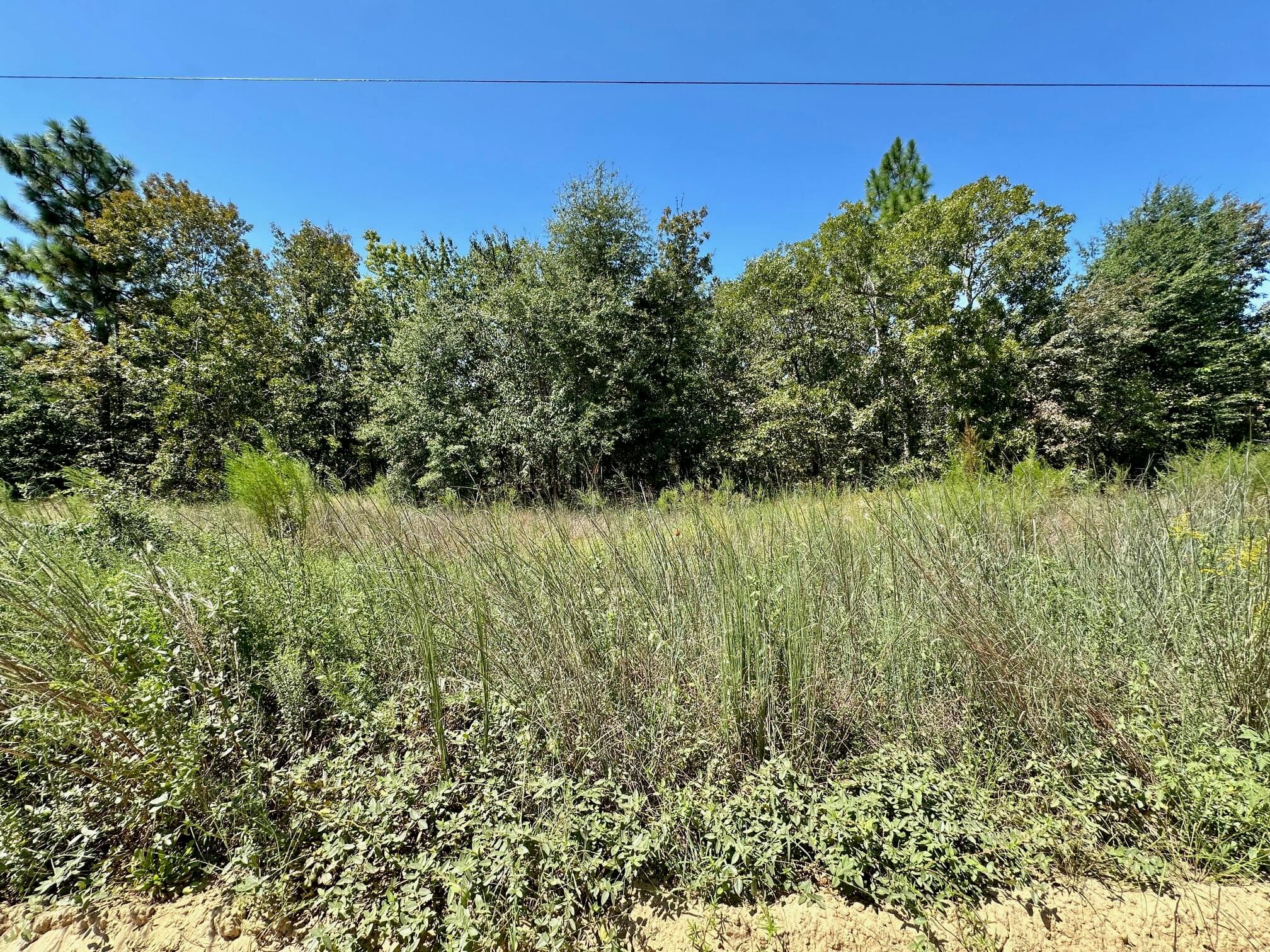 Undeveloped at Lot 11 Marie Vann Road, Waynesboro, GA 30830, photo 7 of 16