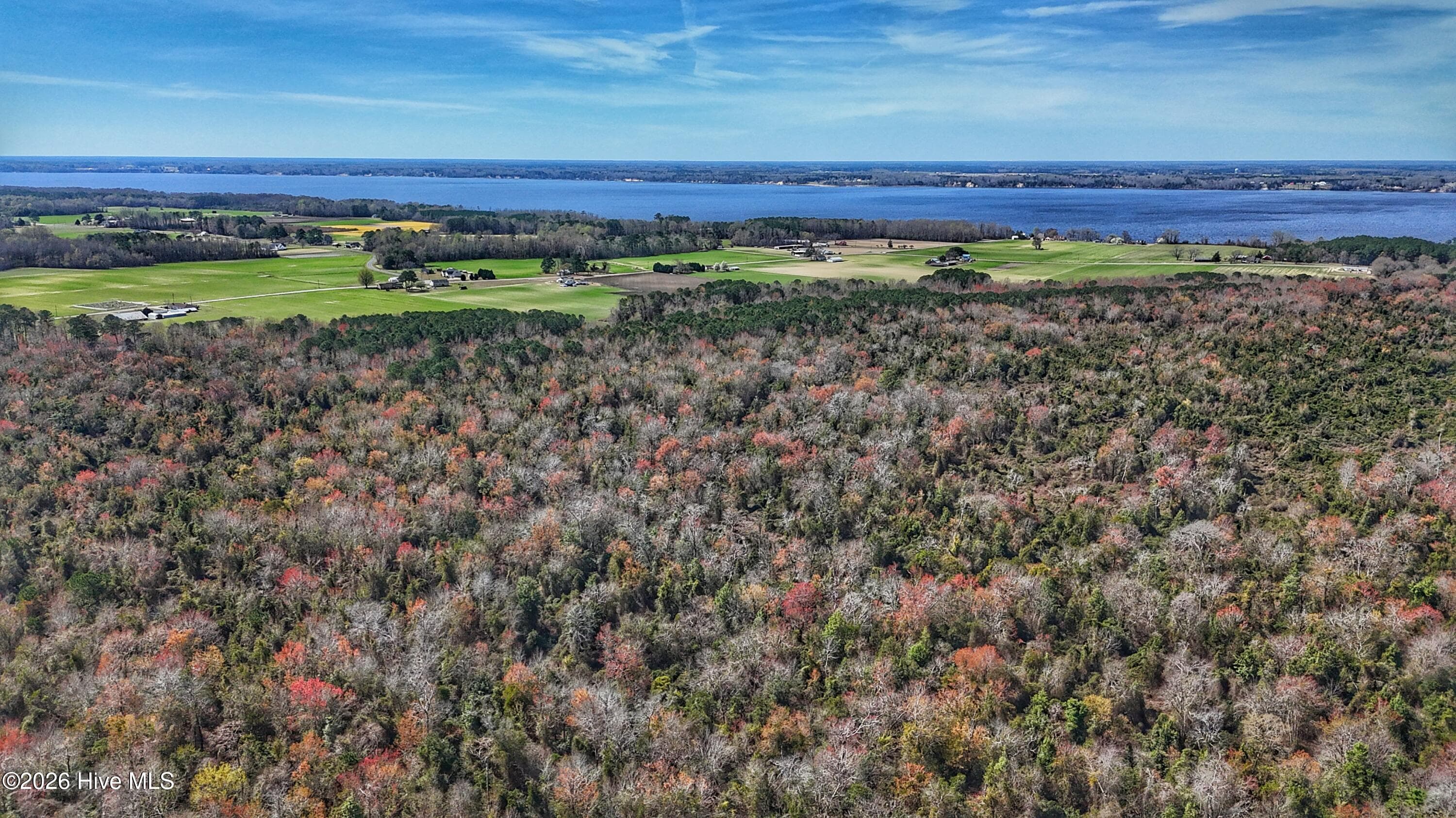 Wooded at 1612 Rocky Hock Landing Road, Edenton, NC 27932, photo 14 of 45