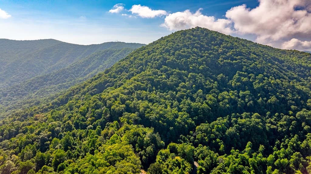Land at 00 E Alarka Road, Bryson City, NC 28713, photo 12 of 28