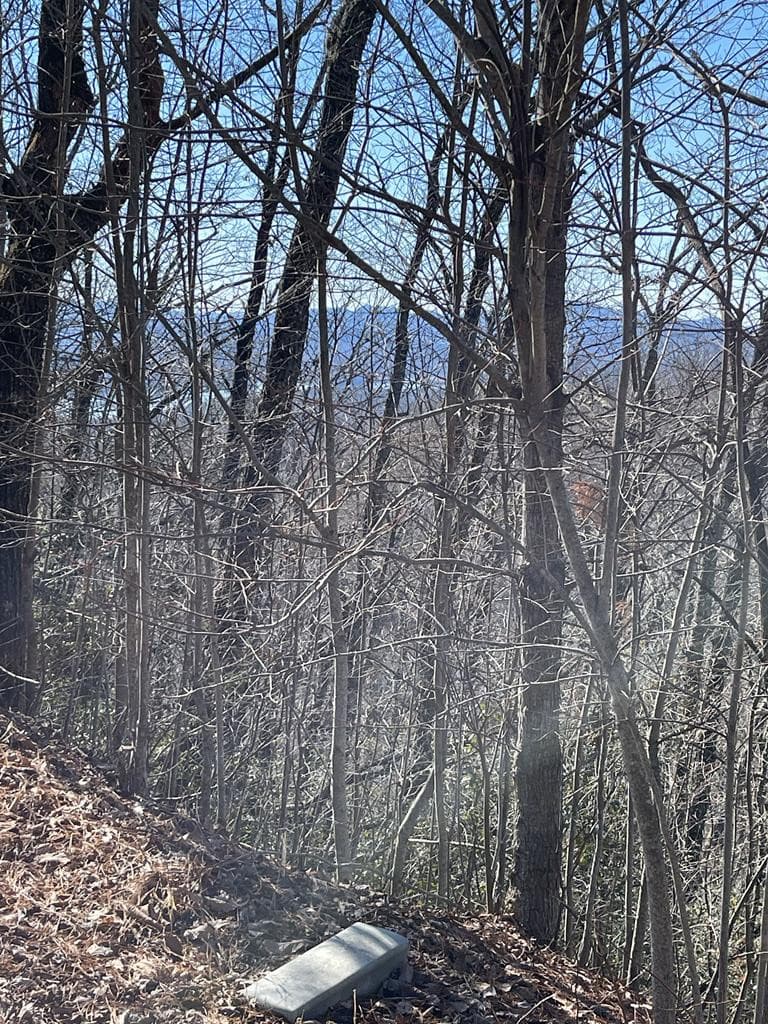 Lot 29j 29J Ash Branch Rd, Hayesville, NC 28904