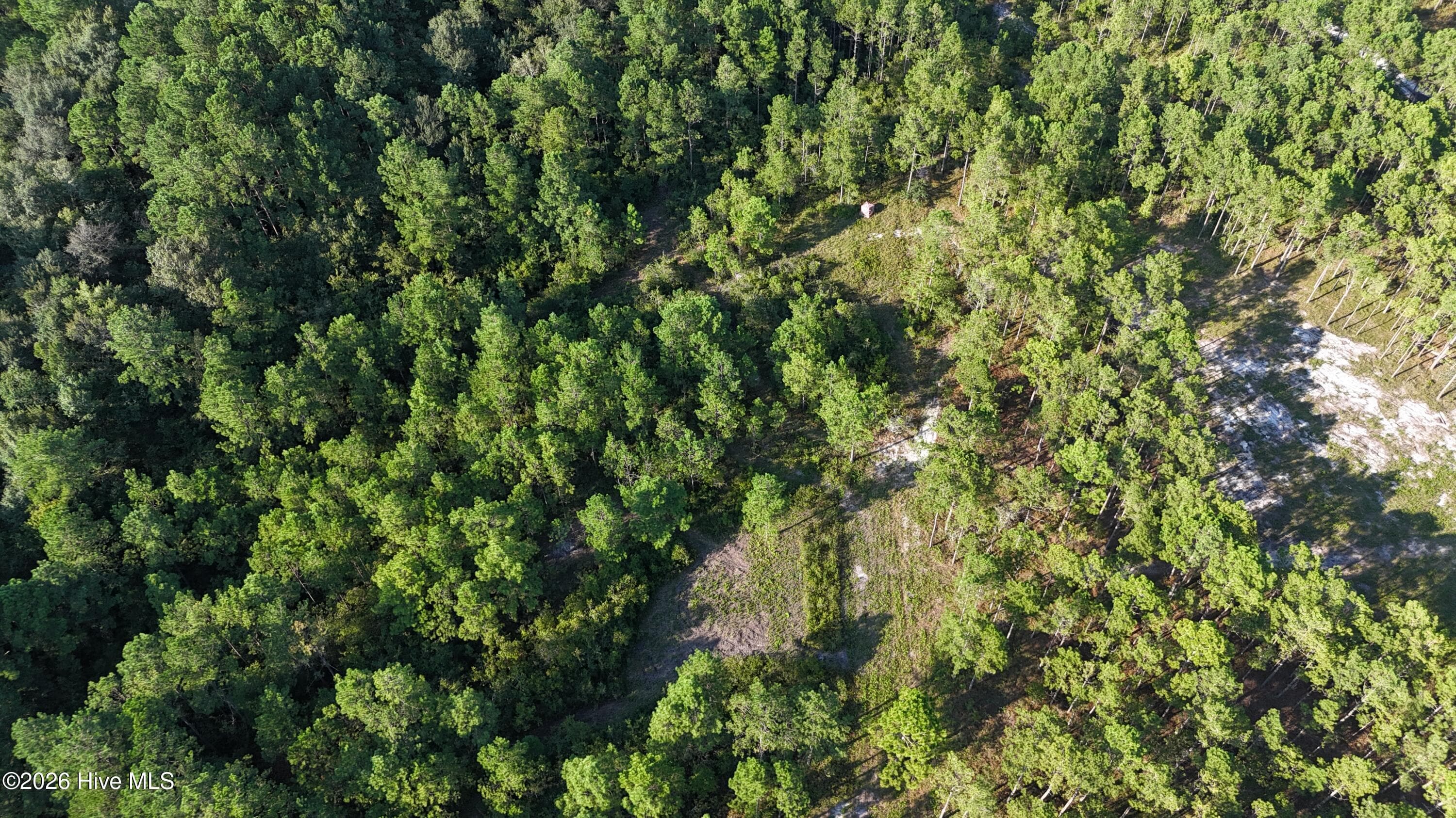 Wooded at Lot 5 5 Aqua Aly, Holly Ridge, NC 28445, photo 6 of 6