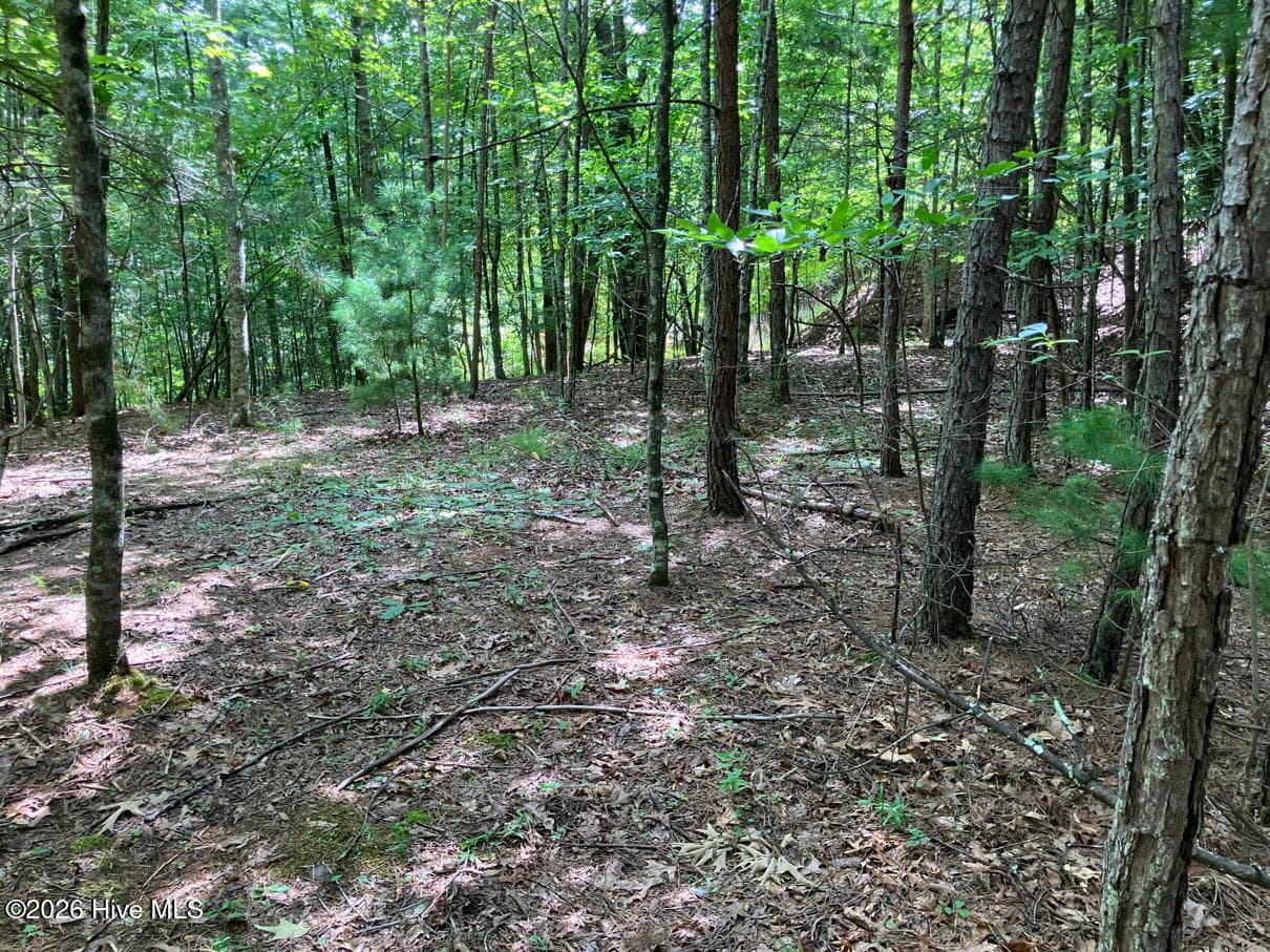Undeveloped at 11 11 Green Cove Circle, Murphy, NC 28906, photo 3 of 8