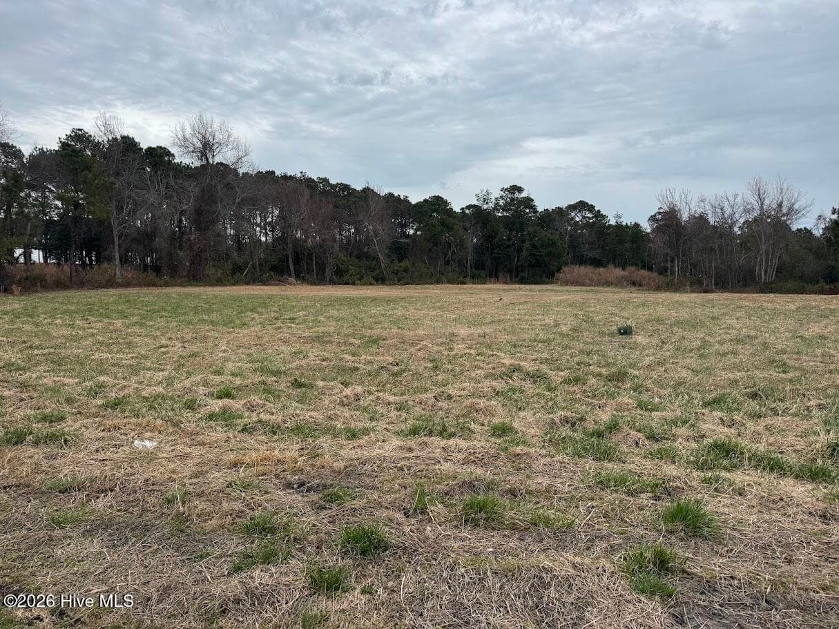 Undeveloped at 0 Horton Drive, Morehead City, NC 28557, Morehead City, photo 4 of 5