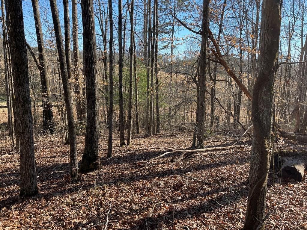Residential Lot at Lot #12e 12E The Woodlands, Hayesville, NC 28904, photo 2 of 6