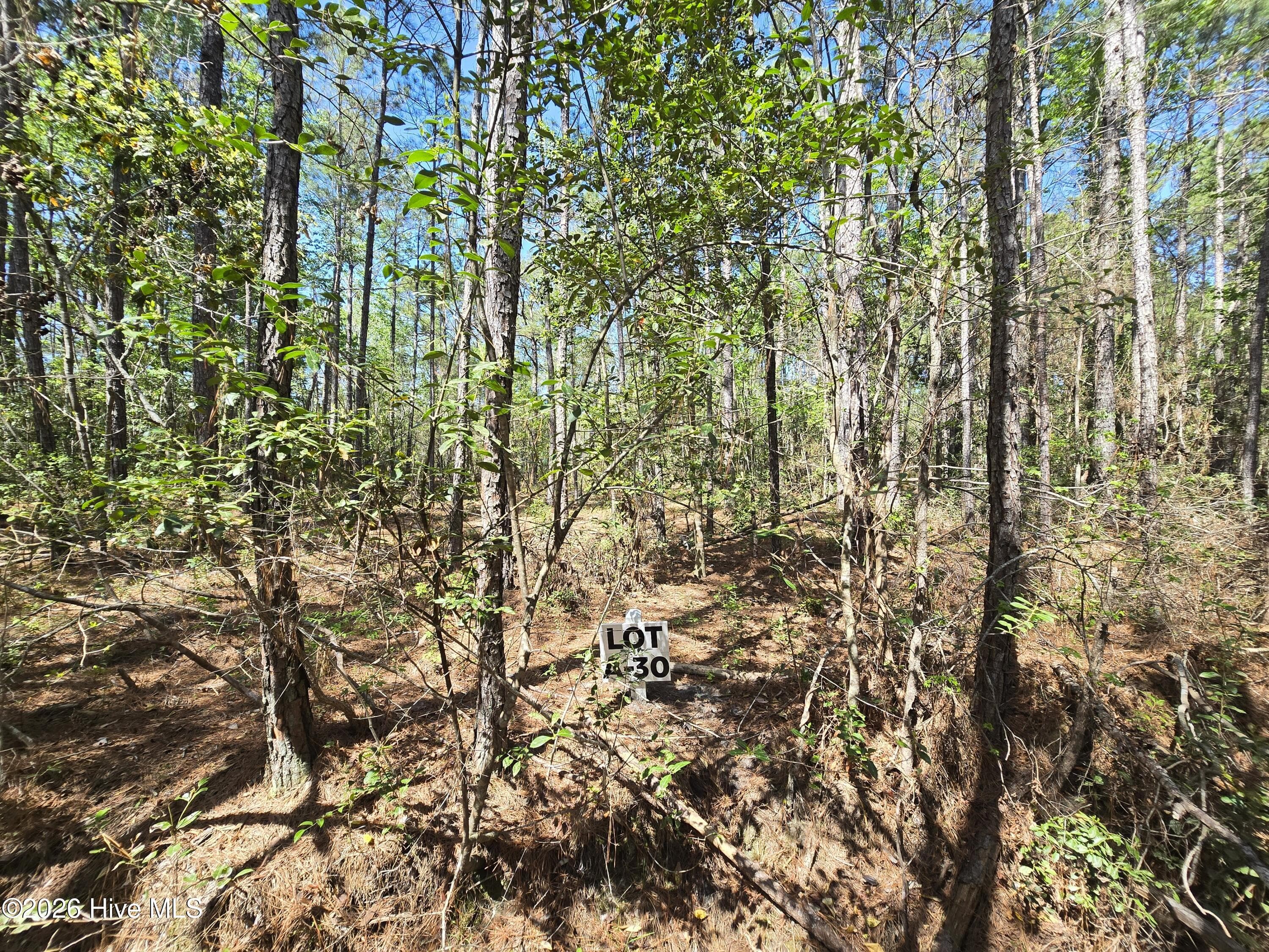 Residential Lot at Lot A-30 A-30 Renee Drive, Hampstead, NC 28443, photo 2 of 6