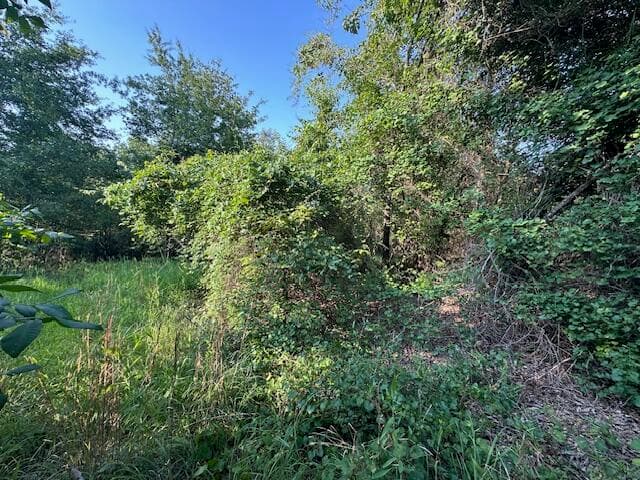 Undeveloped at 2576 Jessie James Pond Road, Wrens, GA 30833, photo 48 of 56