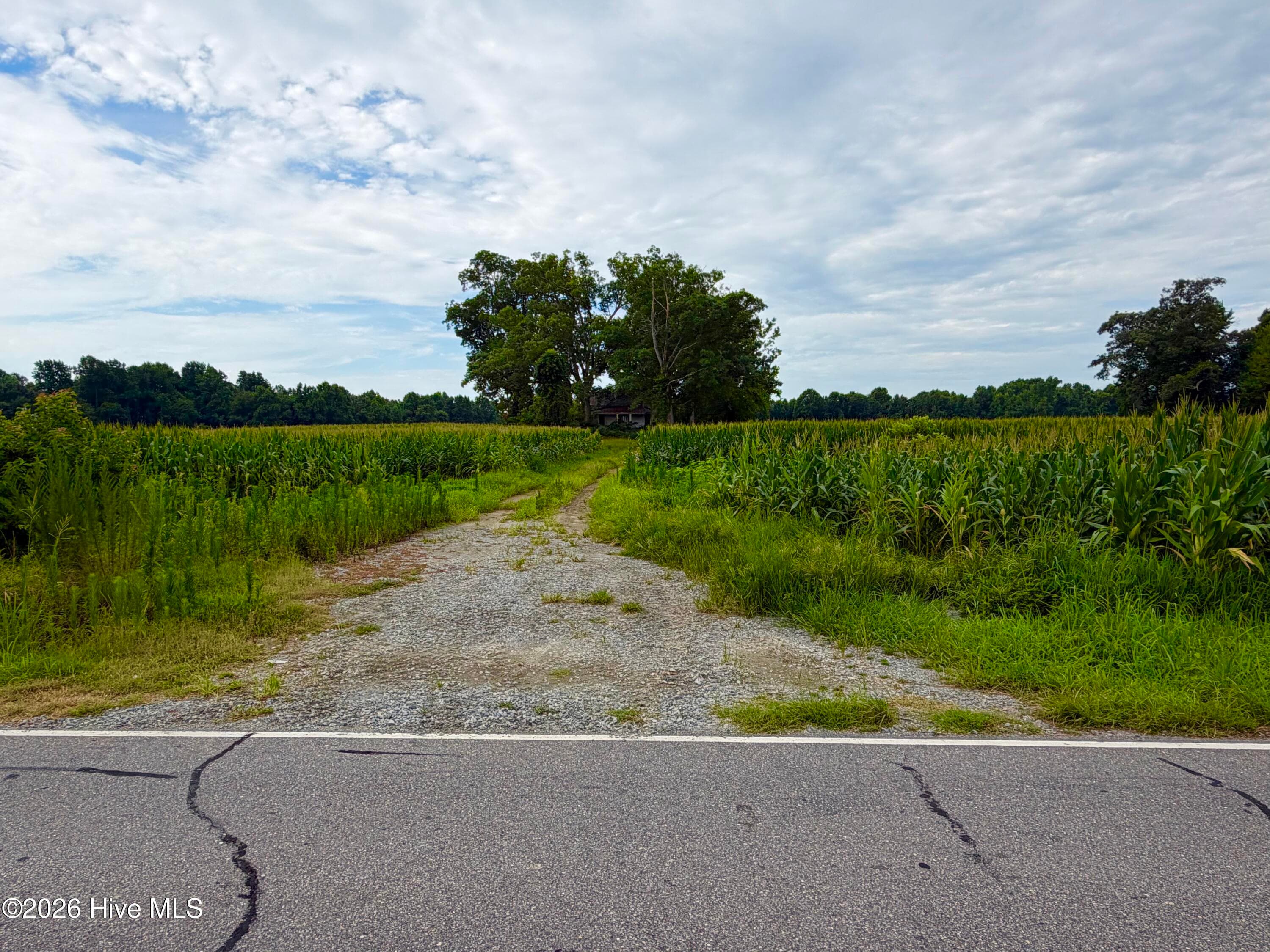 Farm at 478 Davis Mill Road, Fremont, NC 27830, photo 6 of 21