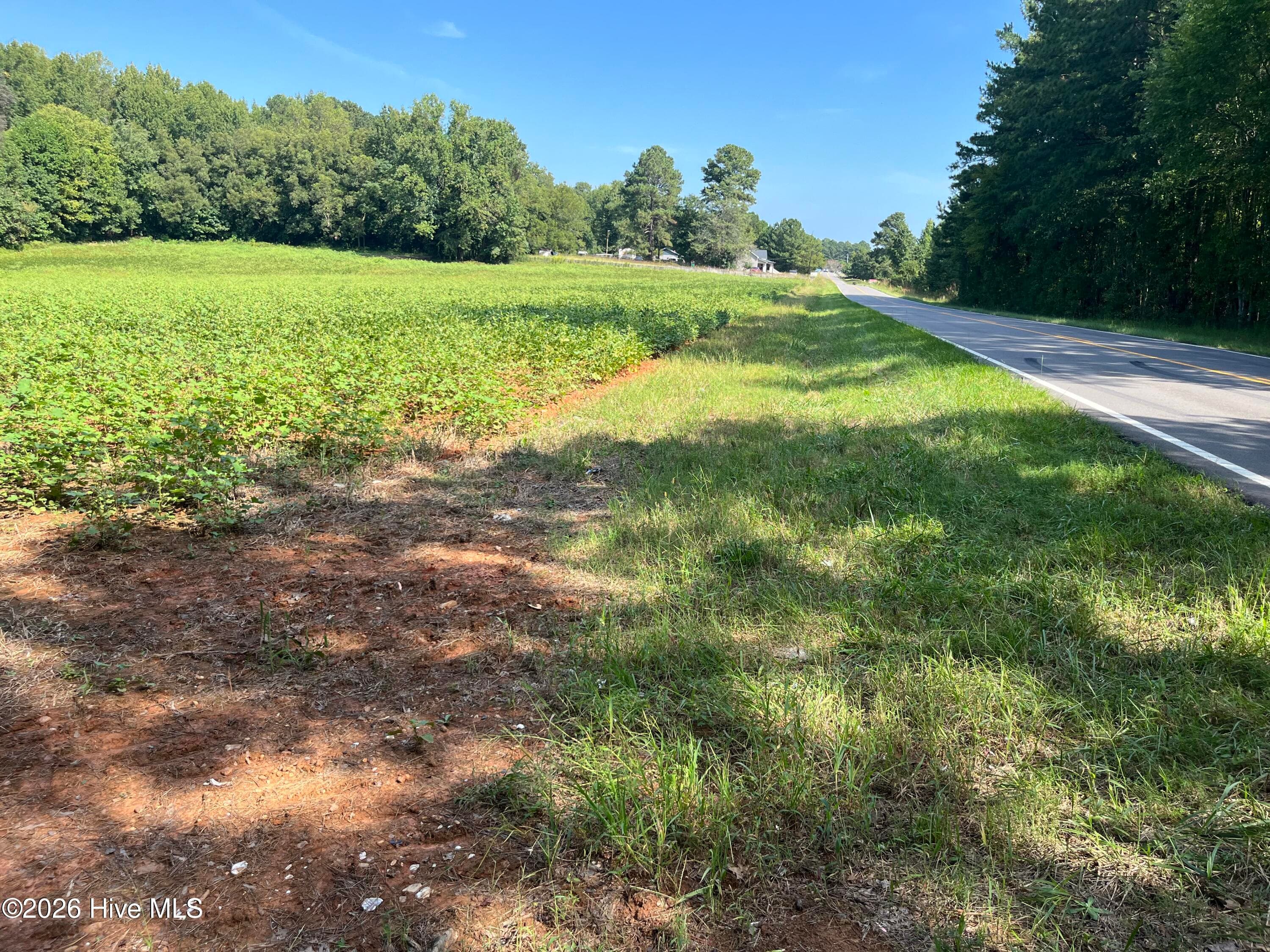 Undeveloped at 9011 Pleasant Grove Church Road, Spring Hope, NC 27882, photo 7 of 11