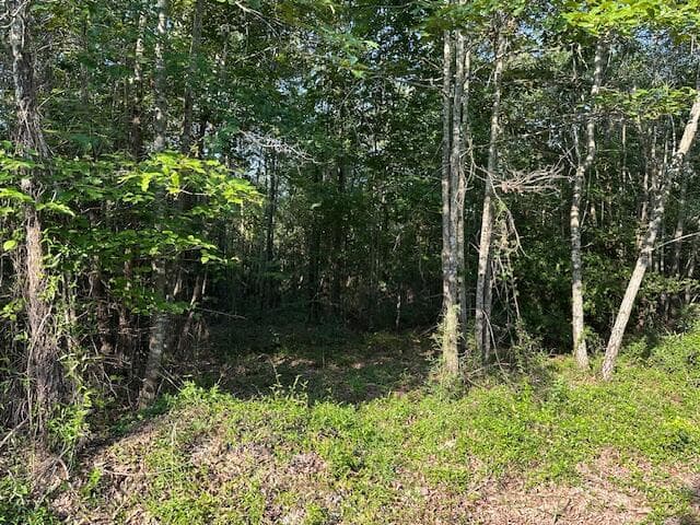 Undeveloped at 2576 Jessie James Pond Road, Wrens, GA 30833, photo 52 of 56
