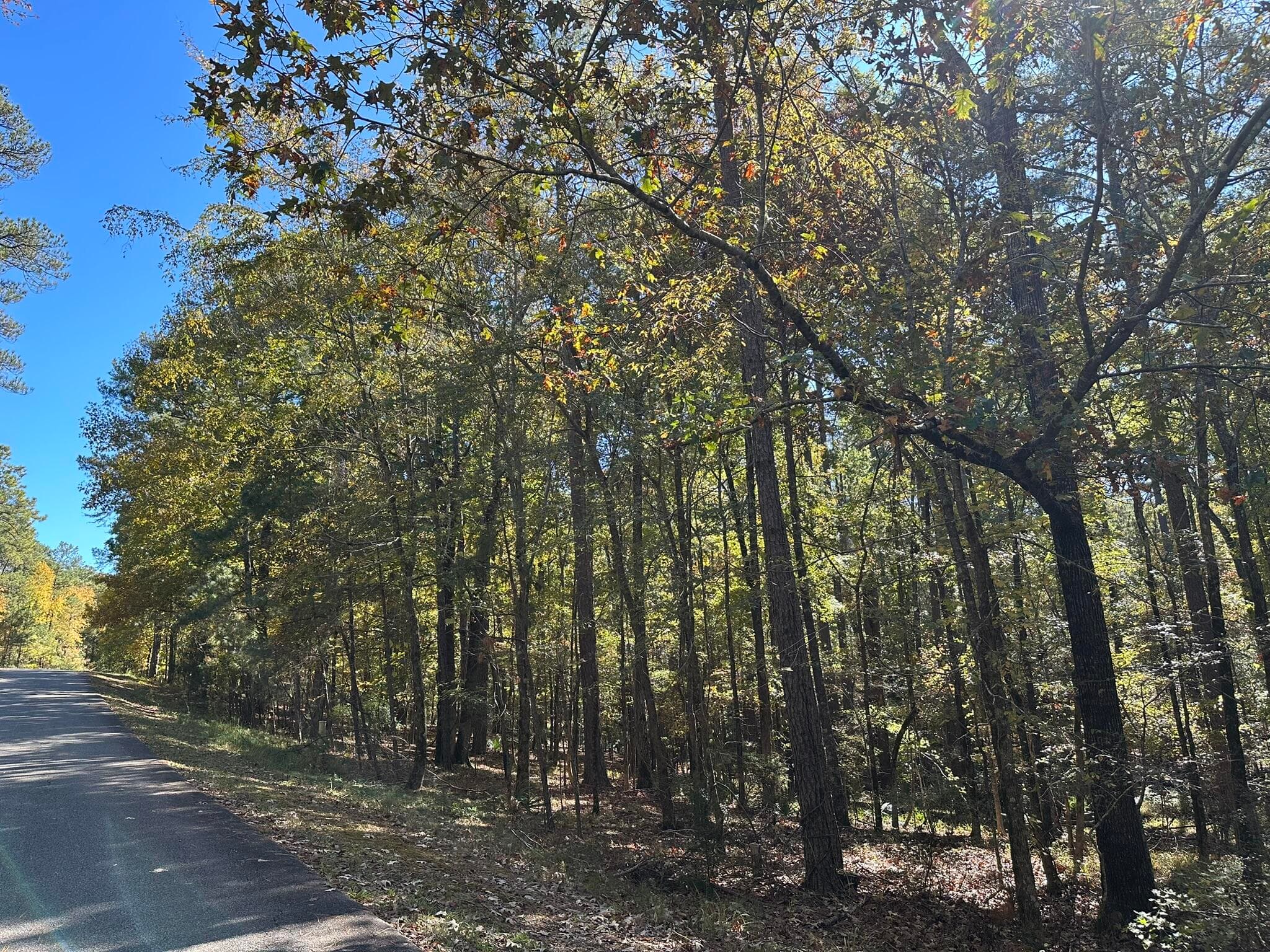 Residential Lot at 167 7 Southwind Drive, McCormick, SC 29835, photo 3 of 18