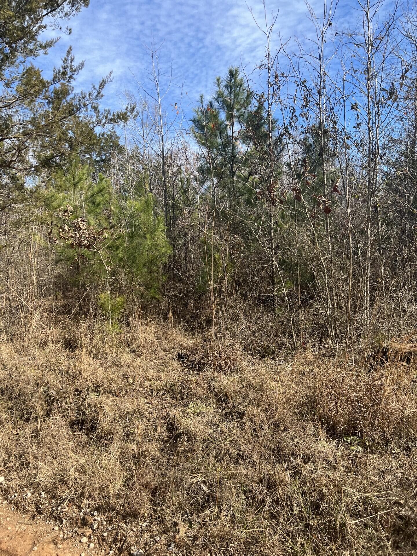 Residential Lot at 0 Clanton Road, Evans, GA 30809, photo 9 of 10