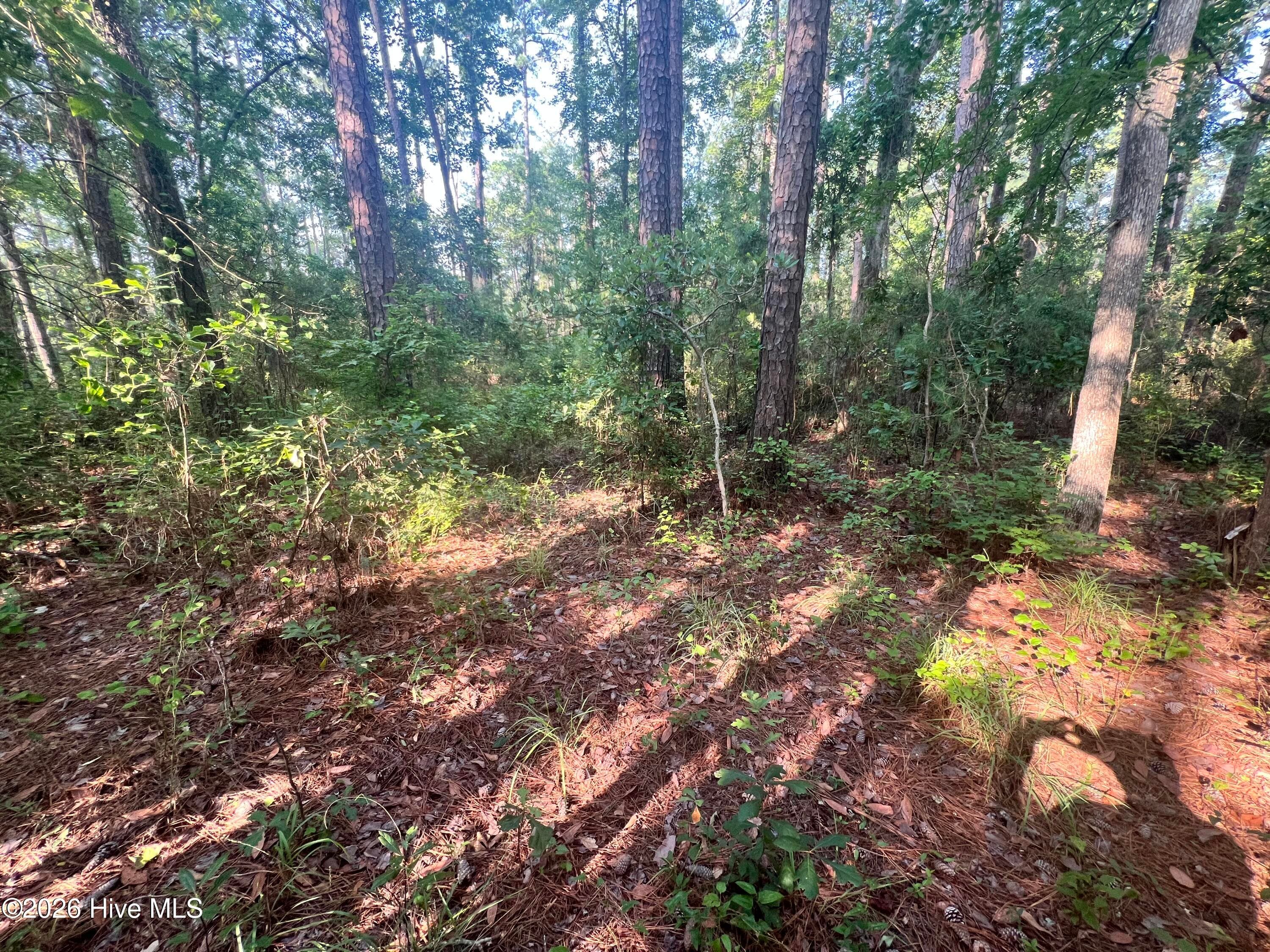 Residential Lot at Lot 2 & 3 Strawhorn Creek Road, Aurora, NC 27806, photo 10 of 18