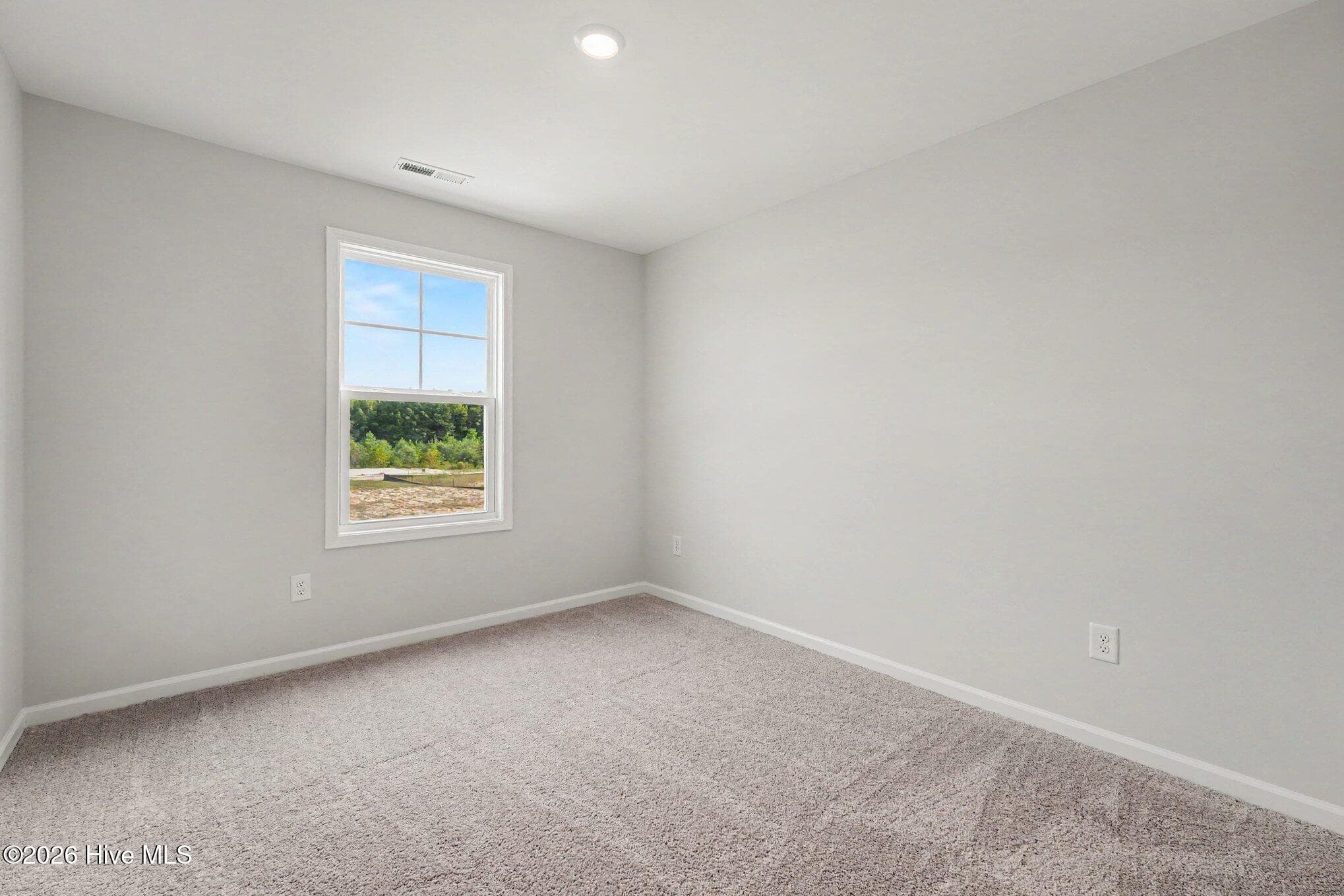 Single Family Residence at 119 Crossvine Street, Selma, NC 27576, photo 277 of 284