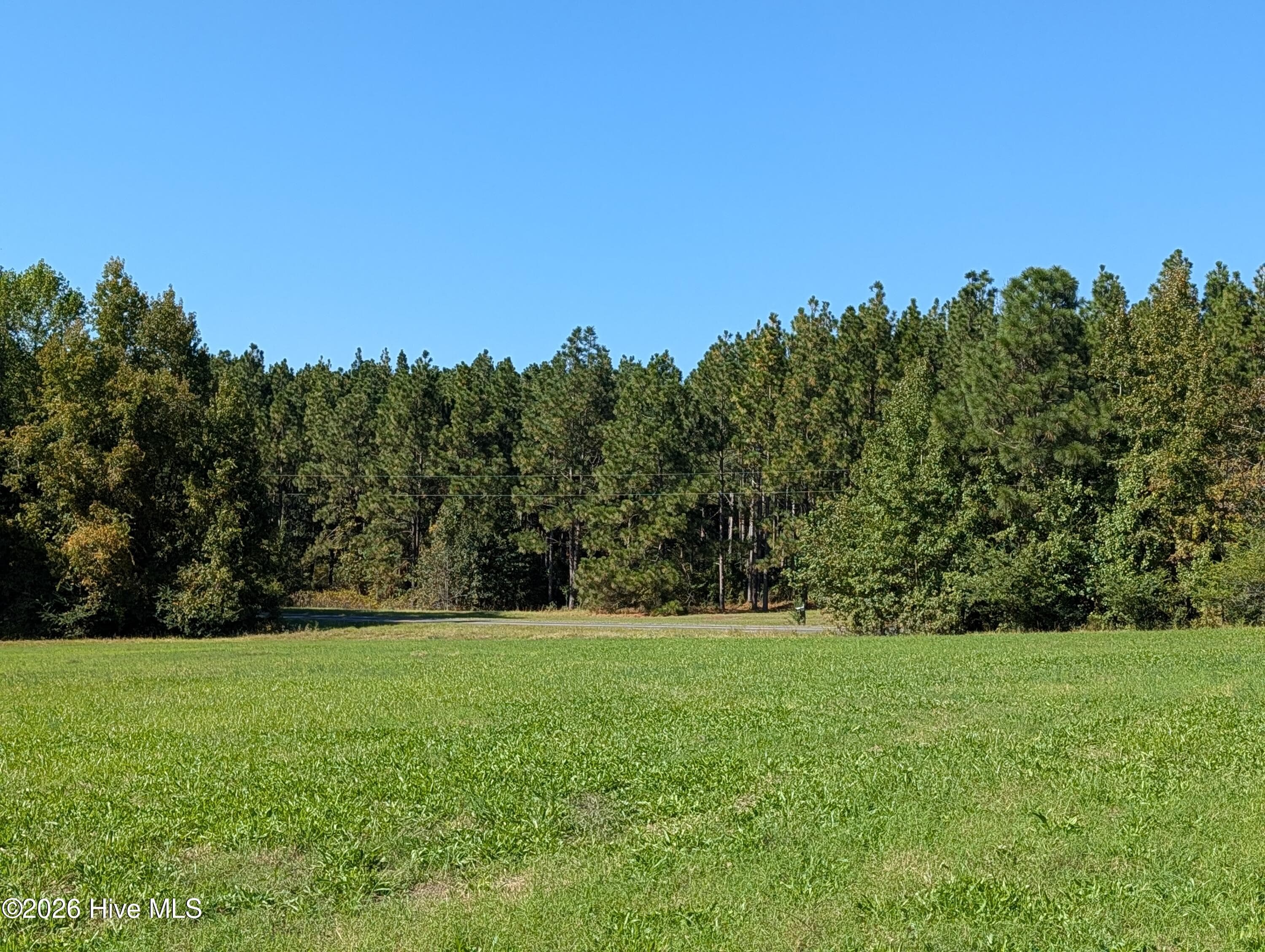 Undeveloped at Tbd County Line Road, Ellerbe, NC 28338, photo 2 of 7