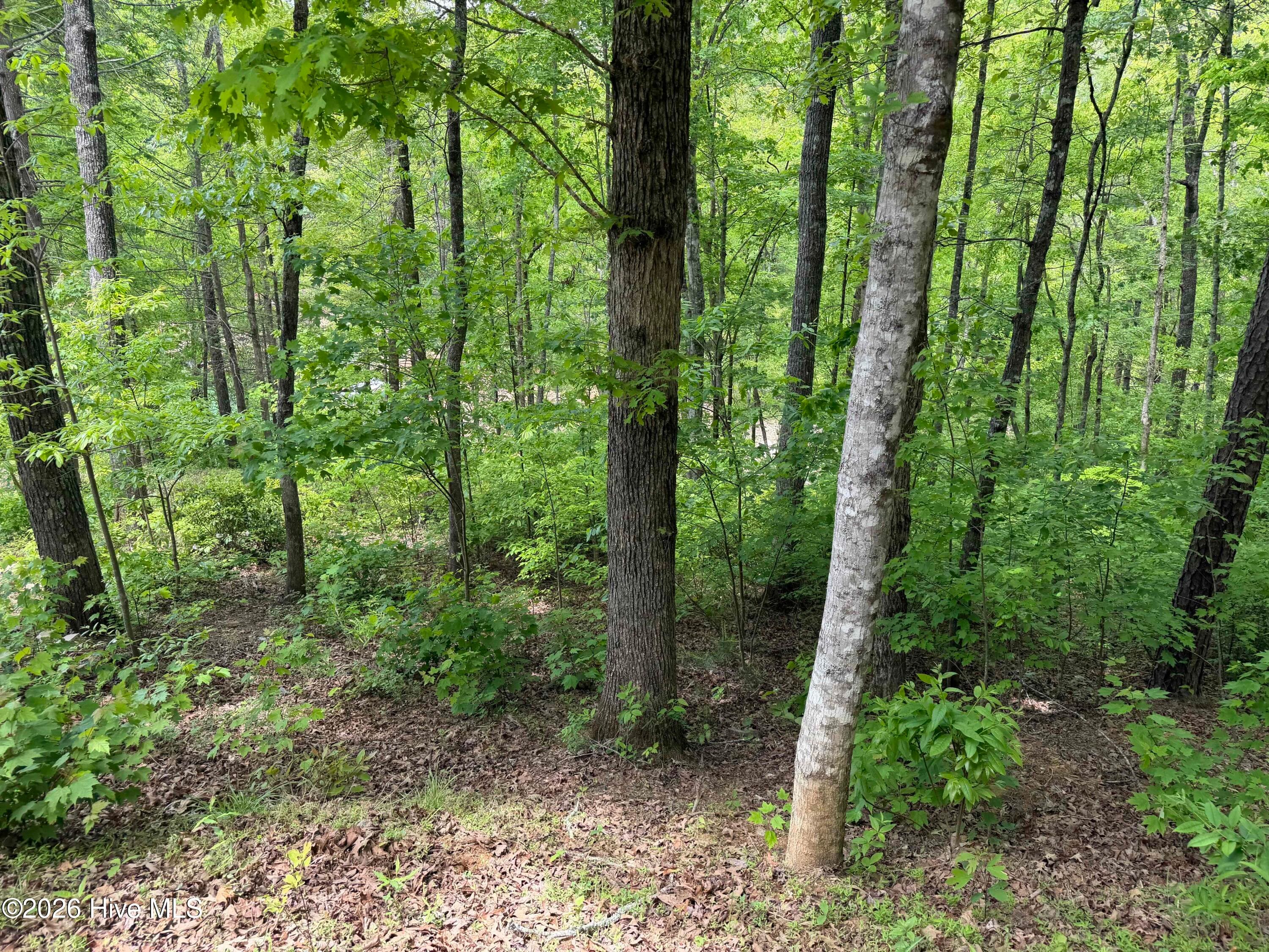 Residential Lot at Multi Lots Black Fox Drive, Murphy, NC 28906, photo 12 of 15