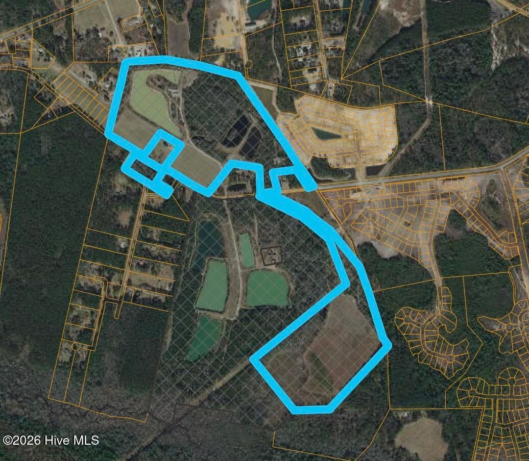 101 Acres Old Highway 90, Conway, SC 29526