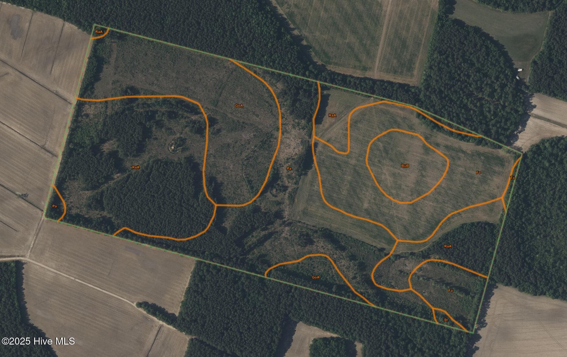 Farm at 0 Near 685 Rossie Ober Road, Whiteville, NC 28472, photo 4 of 9